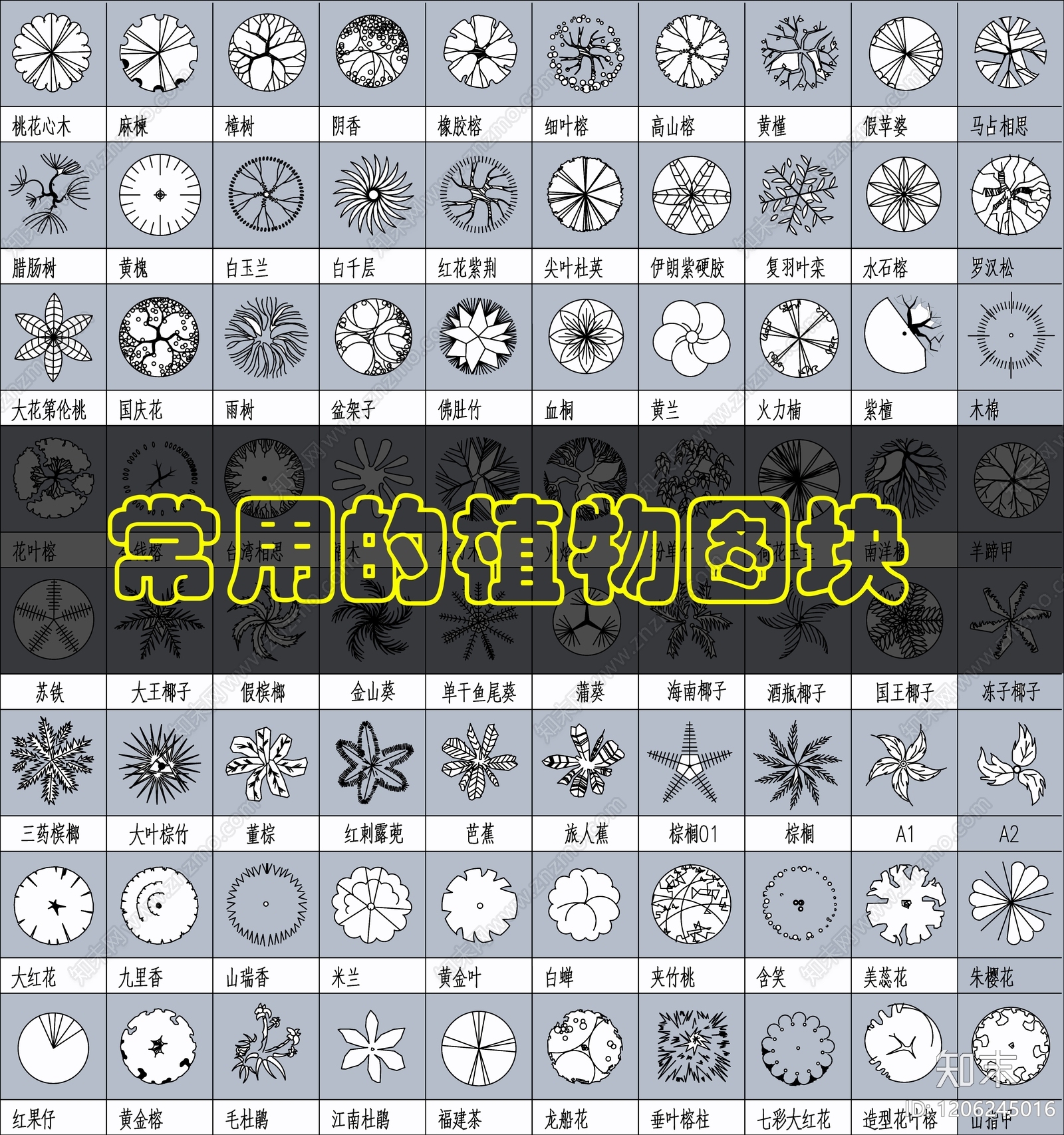 现代综合植物图库cad施工图下载【ID:1206245016】
