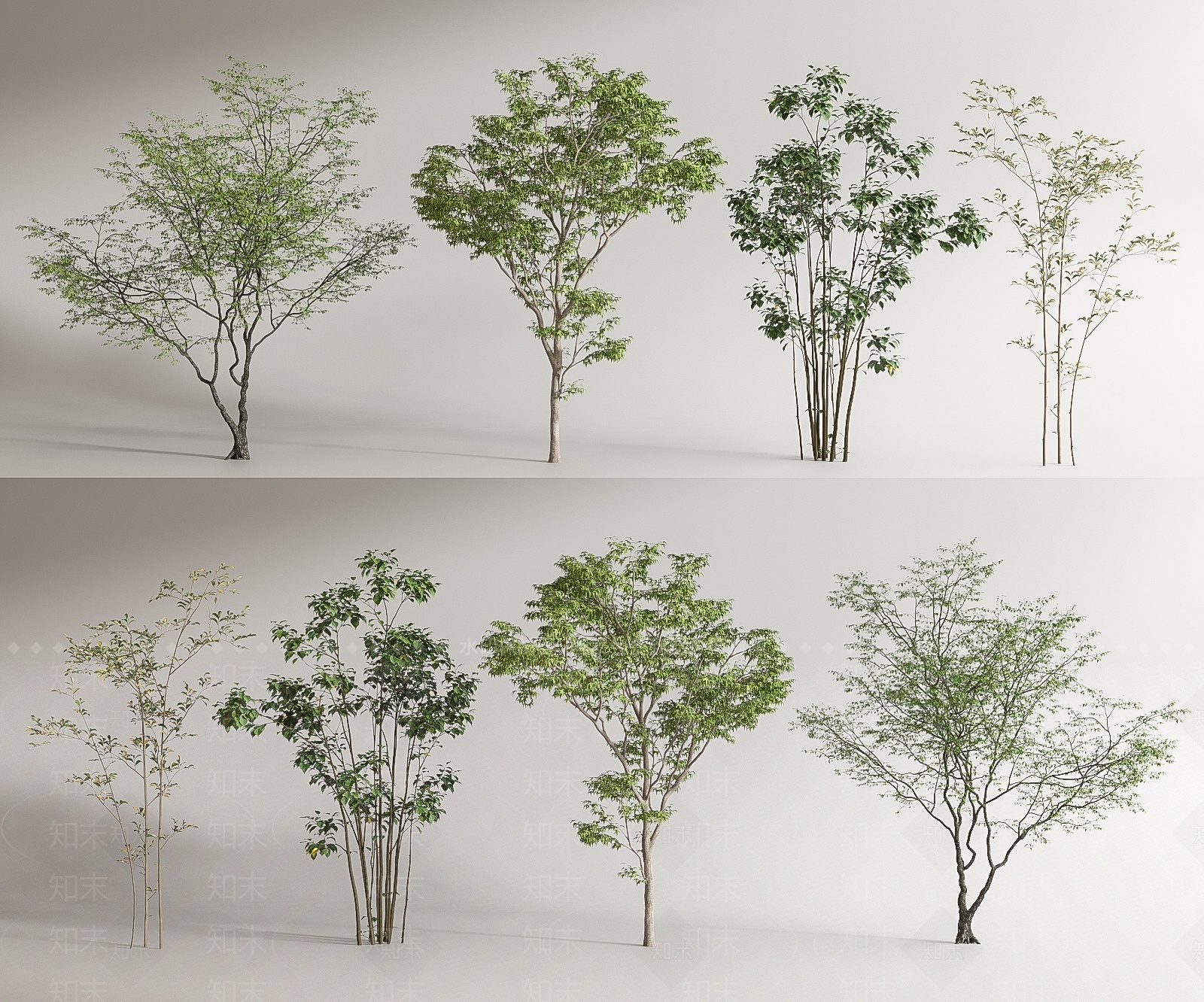 乔木3D模型下载【ID:1206290923】