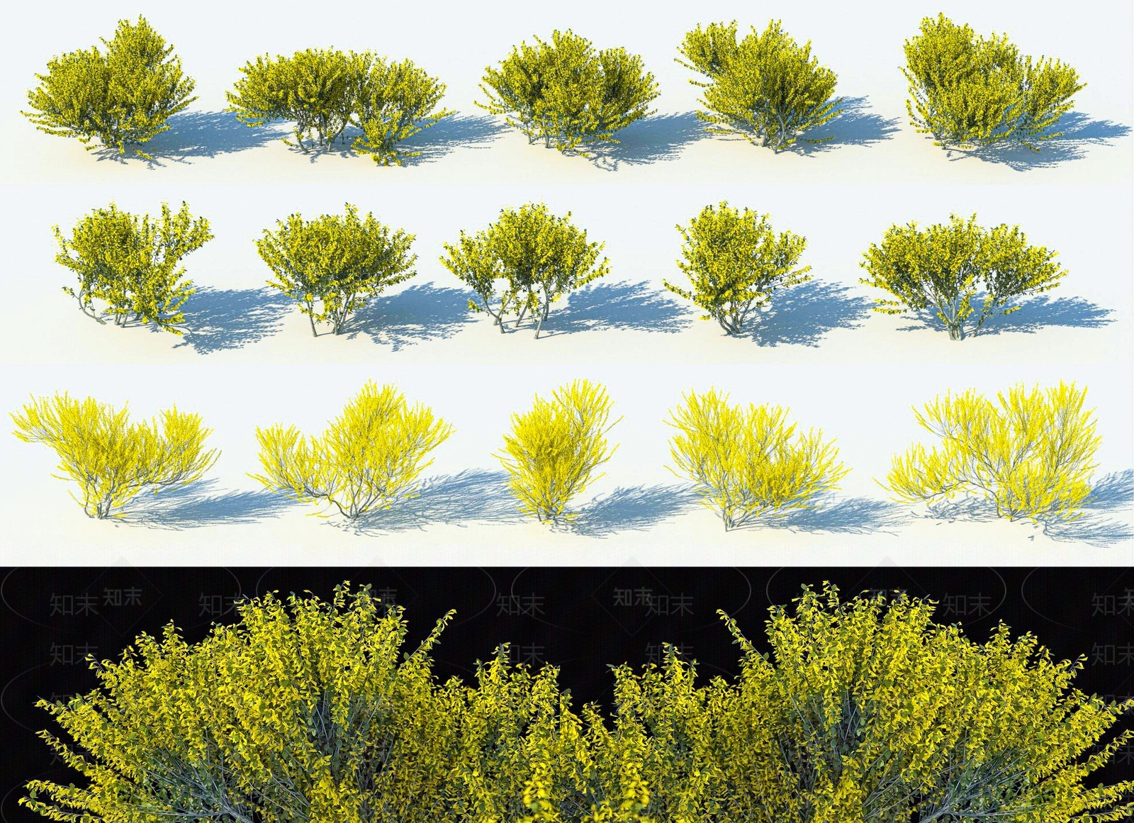 现代景观灌木3d模型下载3D模型下载【ID:1206293108】