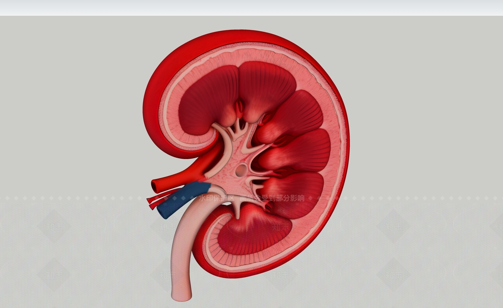 虚拟人物SU模型下载【ID:1206310517】