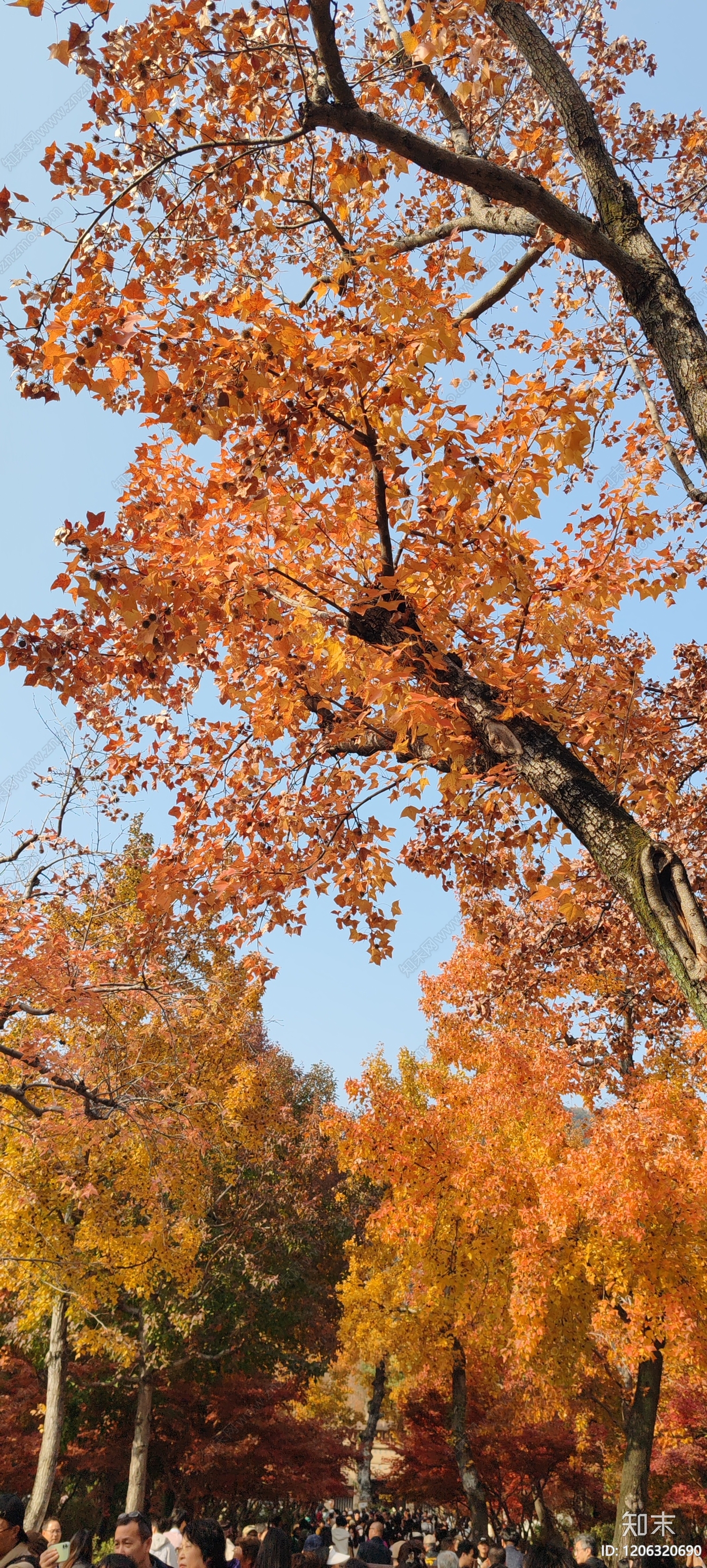 现代其他风景贴图下载【ID:1206320690】