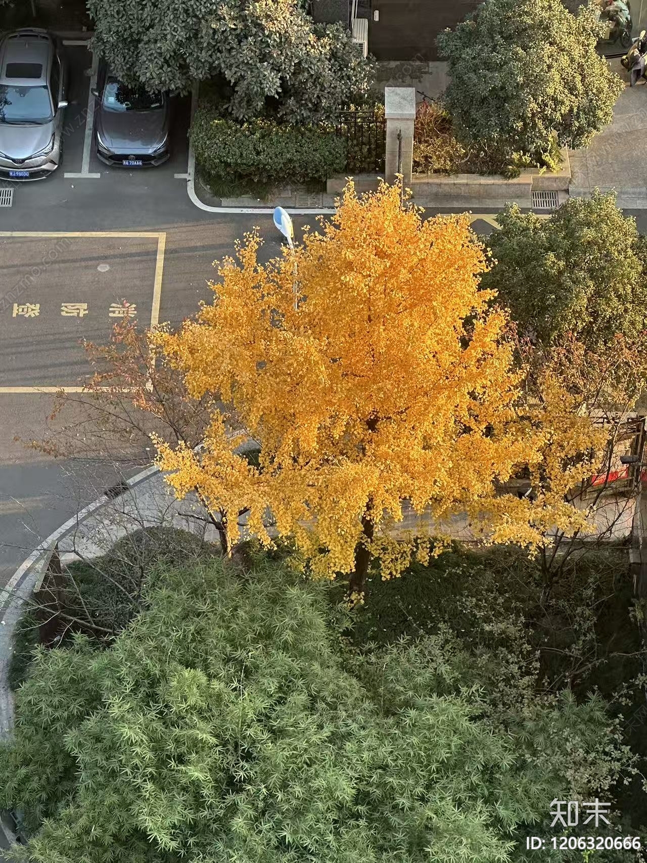 现代其他风景贴图下载【ID:1206320666】