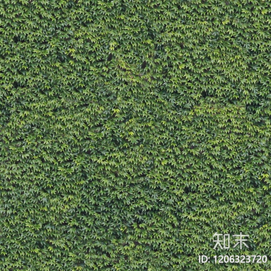 现代绿植墙贴图下载【ID:1206323720】