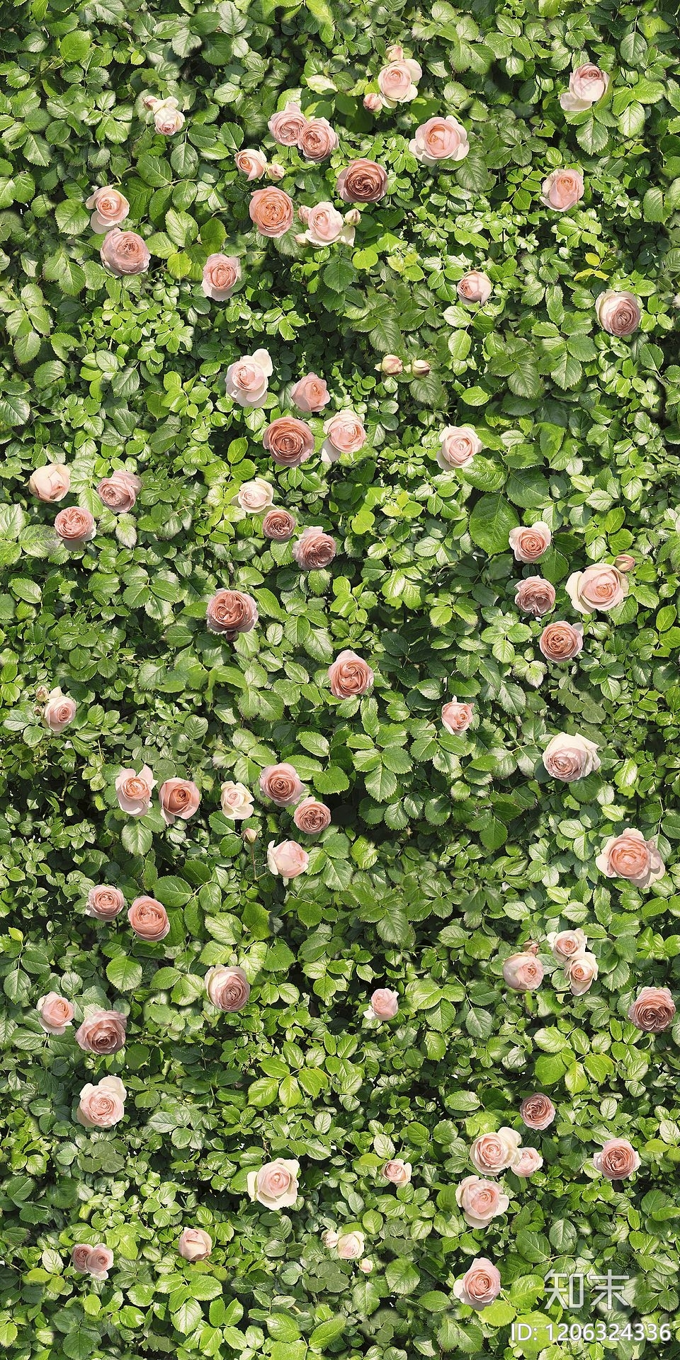 现代绿植墙贴图下载【ID:1206324336】