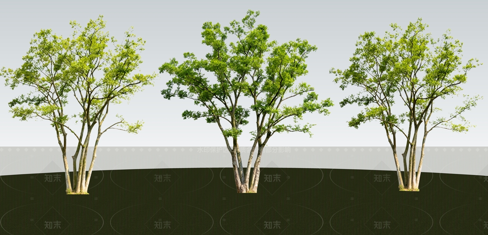 乔木SU模型下载【ID:1206368246】