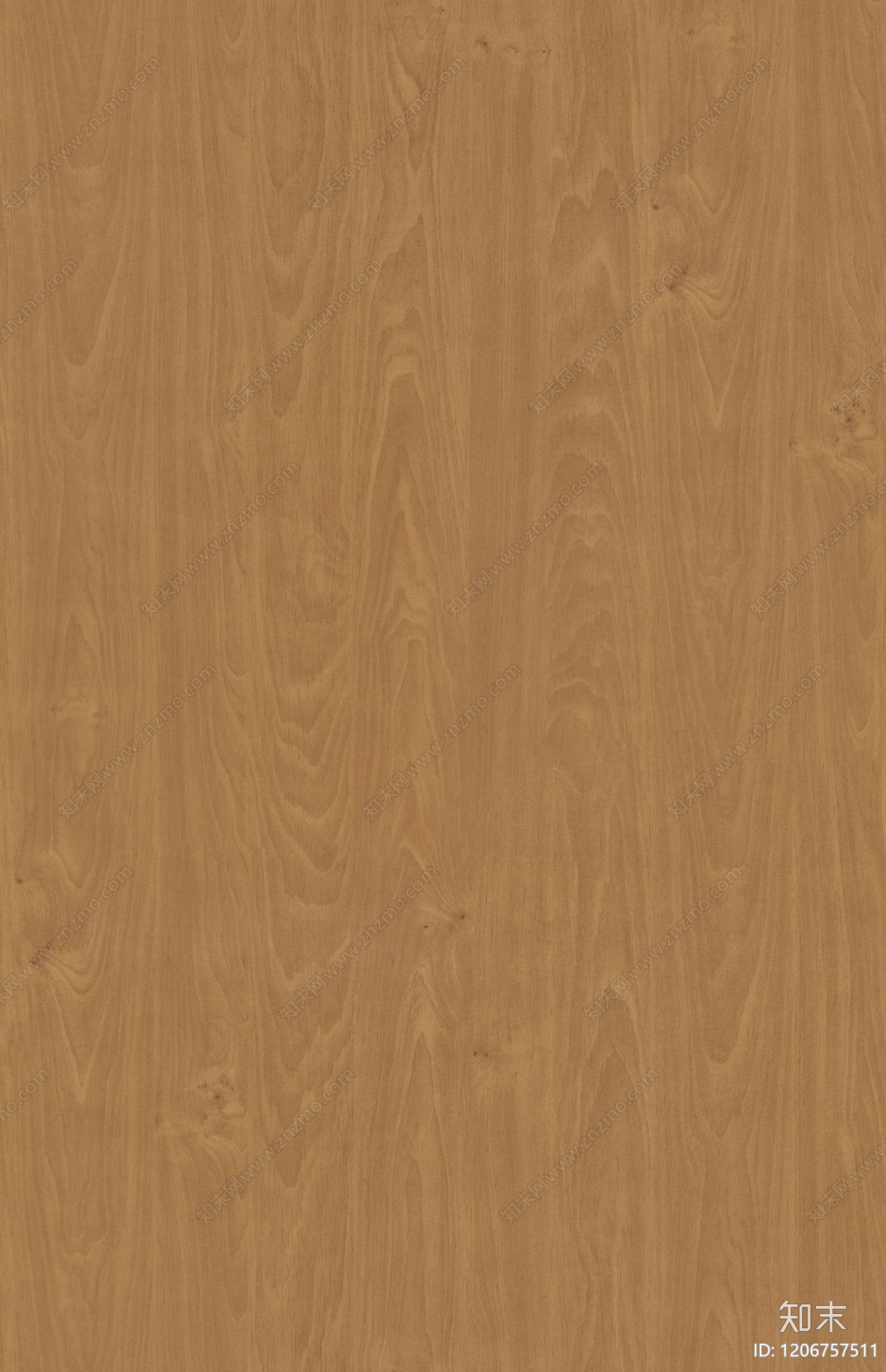 现代橡木木纹贴图下载【ID:1206757511】
