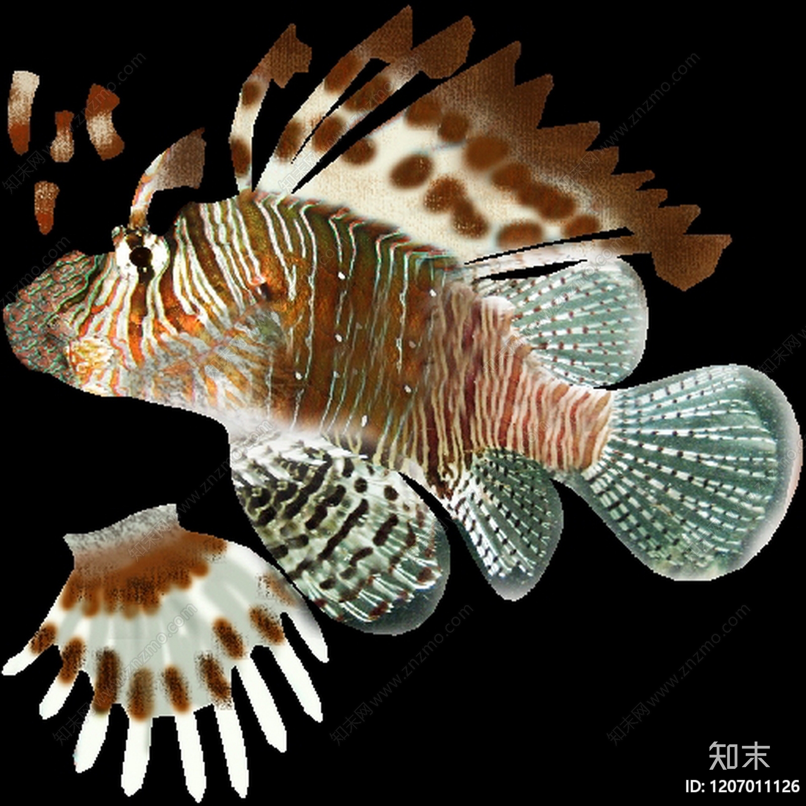 现代其他挂画贴图下载【ID:1207011126】