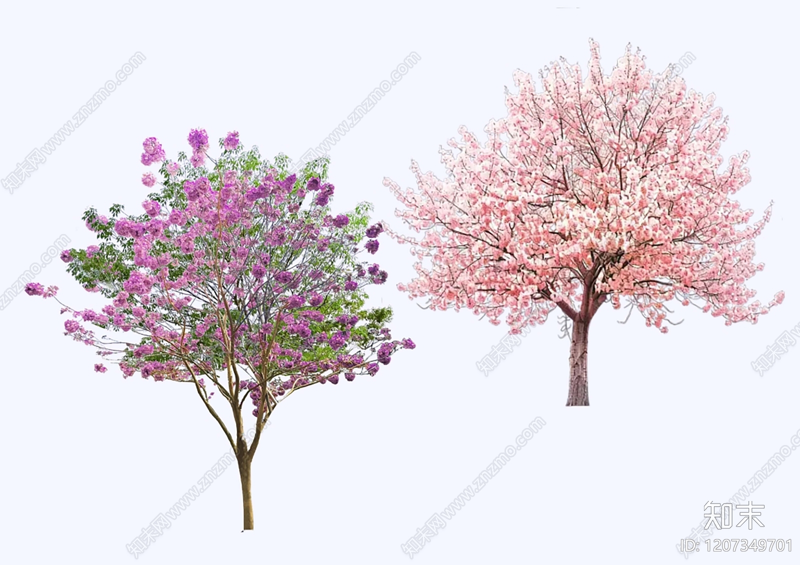 乔木SU模型下载【ID:1207349701】
