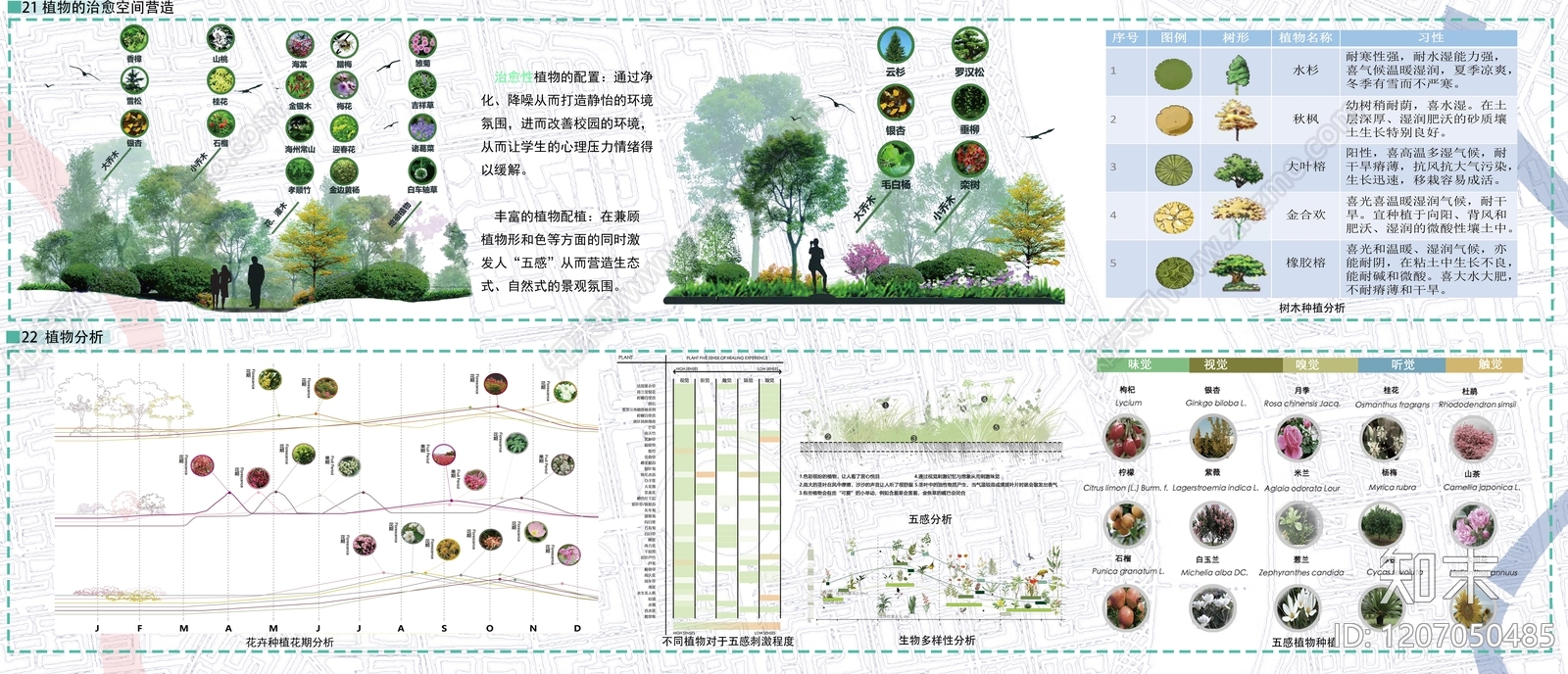 植物分析图设计素材精品下载_知末网