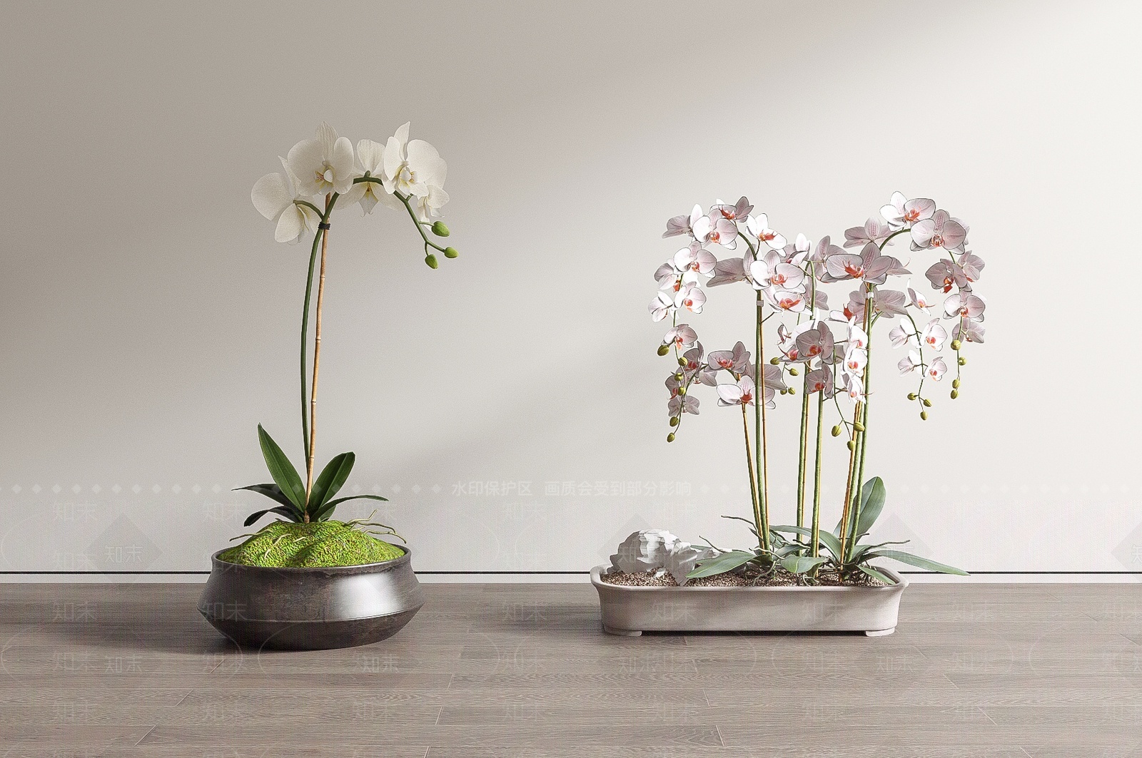 蝴蝶兰盆栽盆景SU模型下载【ID:1207106730】