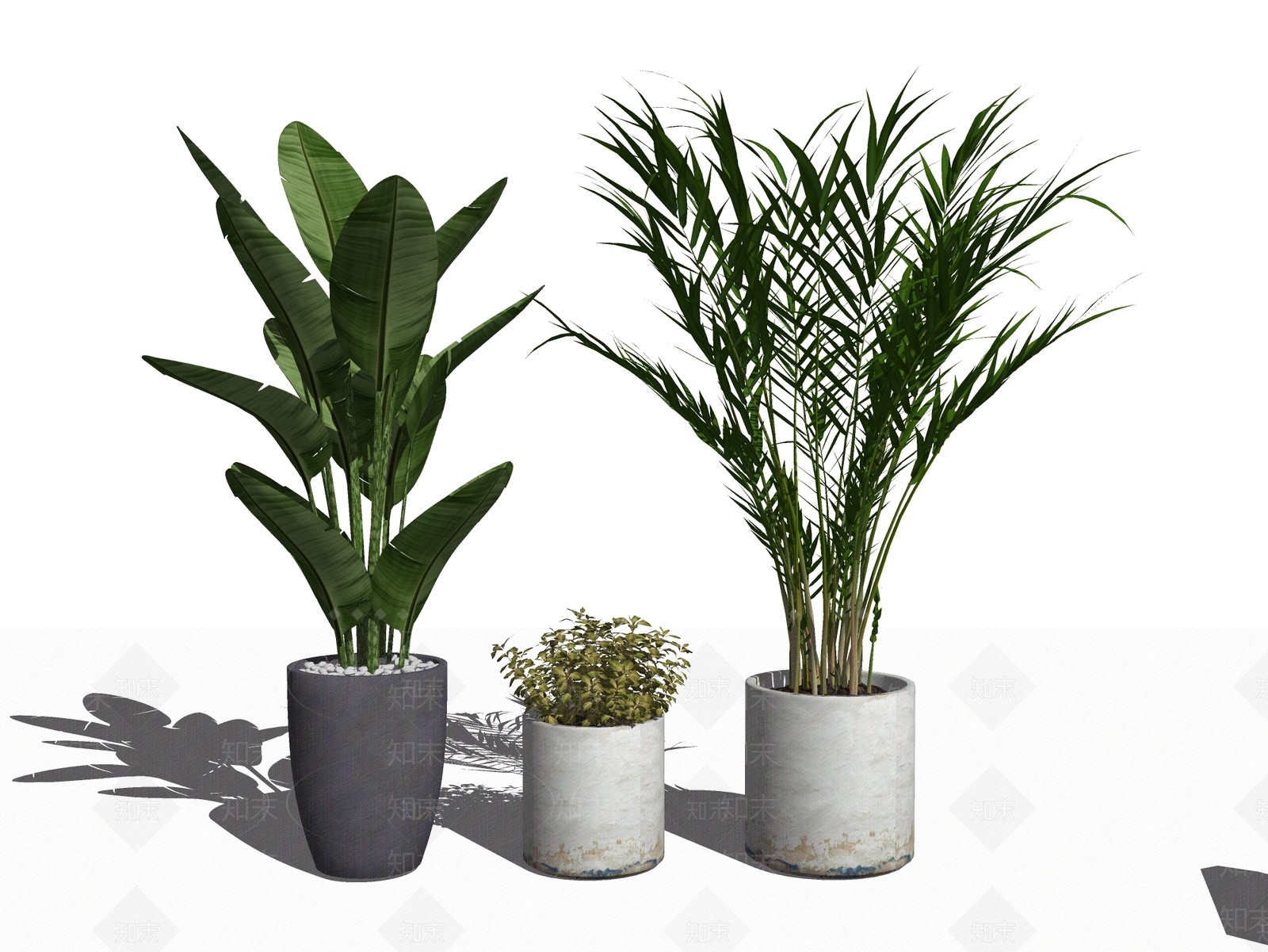 现代绿植盆栽SU模型下载【ID:1207191678】