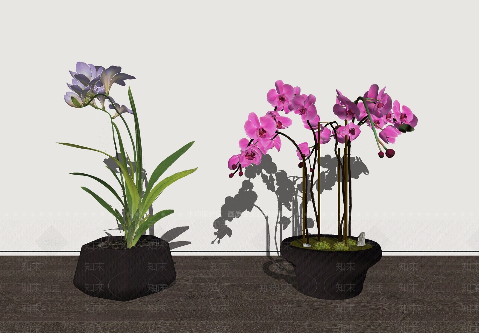 现代蝴蝶兰盆栽盆景SU模型下载【ID:1207436580】