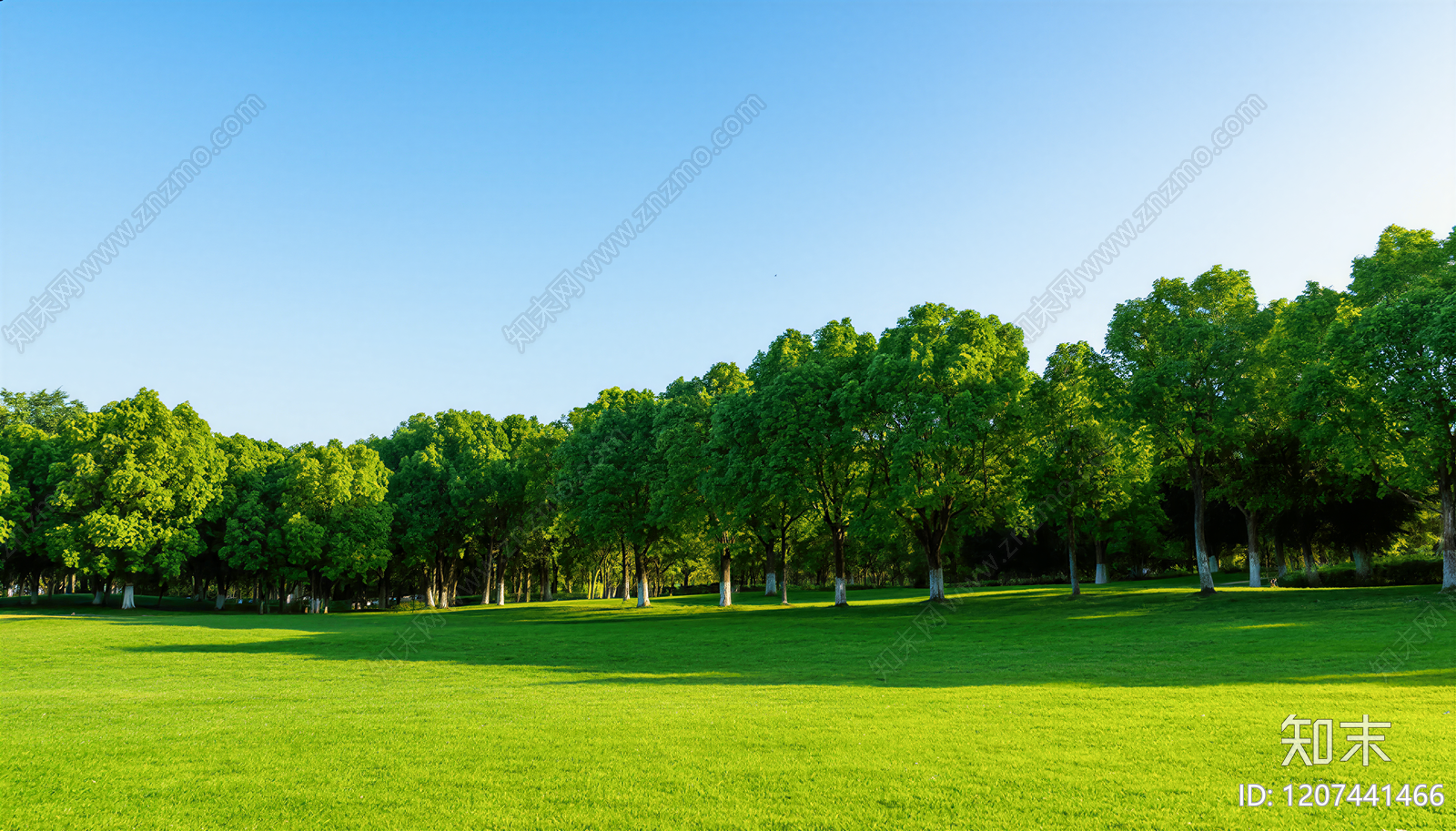 现代其它外景贴图下载【ID:1207441466】