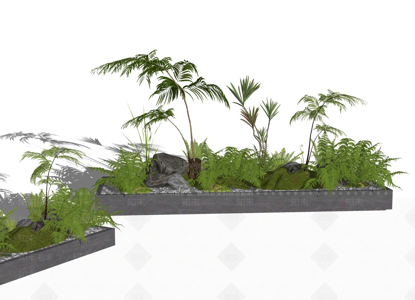 现代蕨类植物SU模型下载【ID:1207444518】