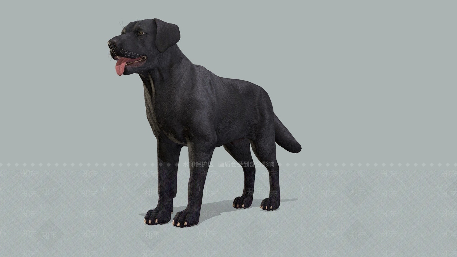 现代黑色宠物狗3D模型下载【ID:1207447008】