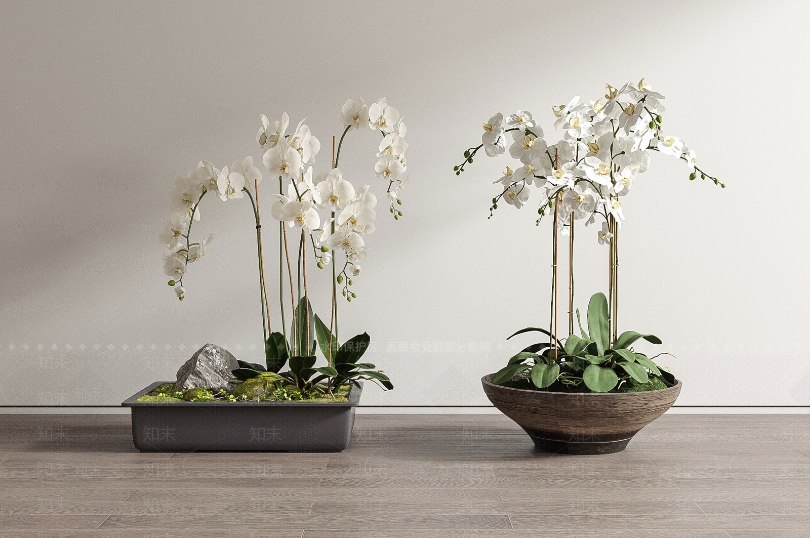蝴蝶兰盆栽盆景SU模型下载【ID:1207447884】