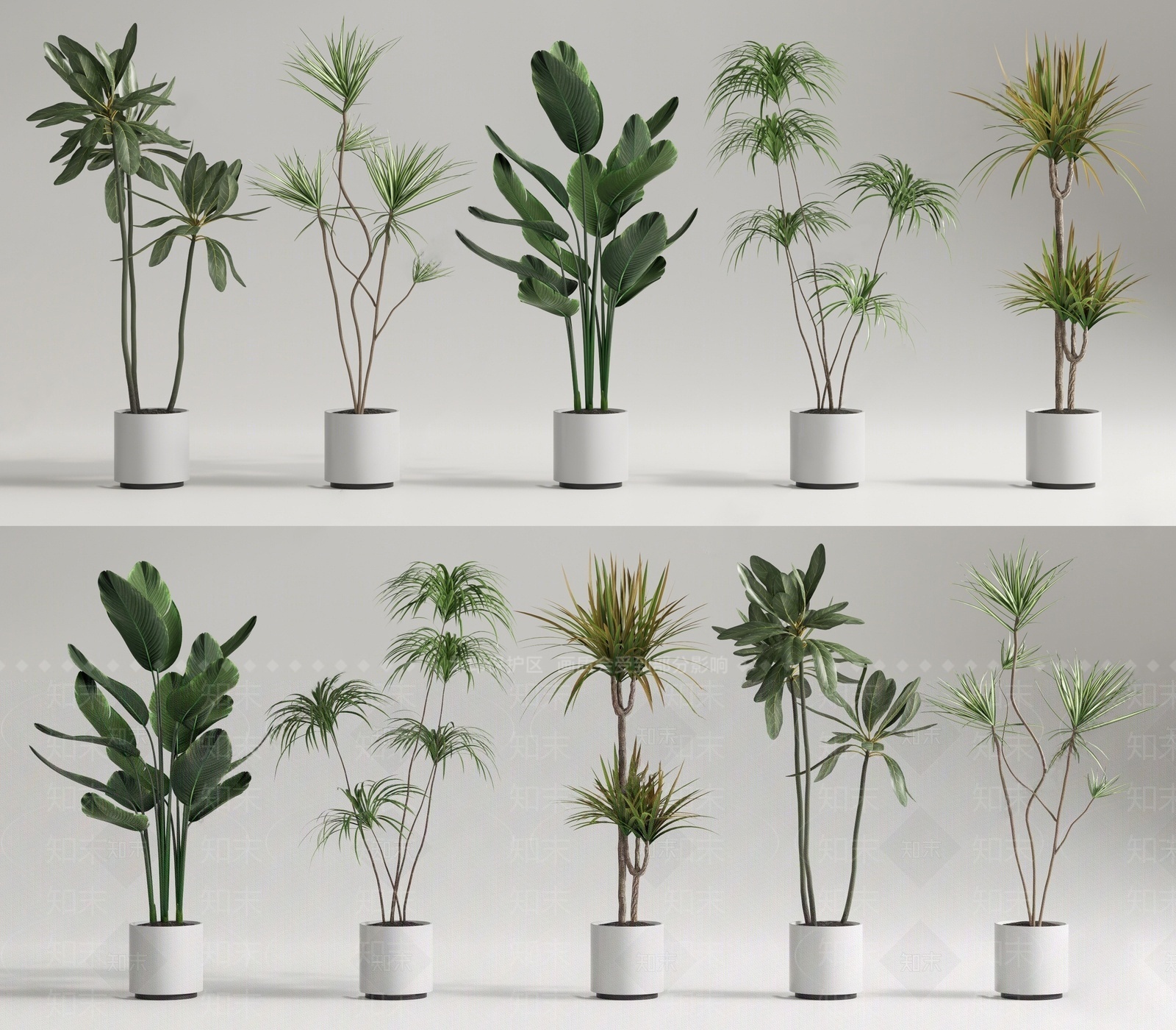 绿植盆栽3D模型下载【ID:1207473418】