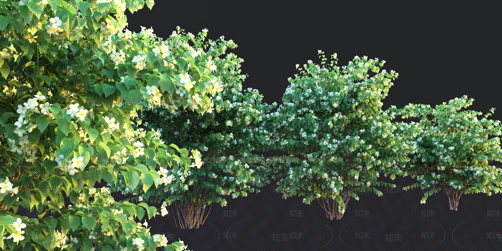 灌木3D模型下载【ID:1207496056】