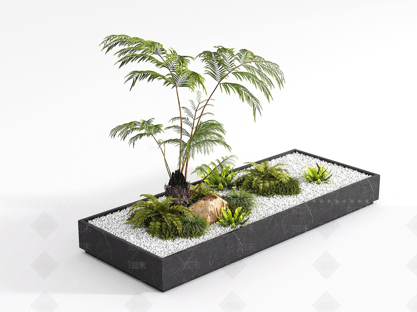 现代蕨类植物SU模型下载【ID:1207511284】