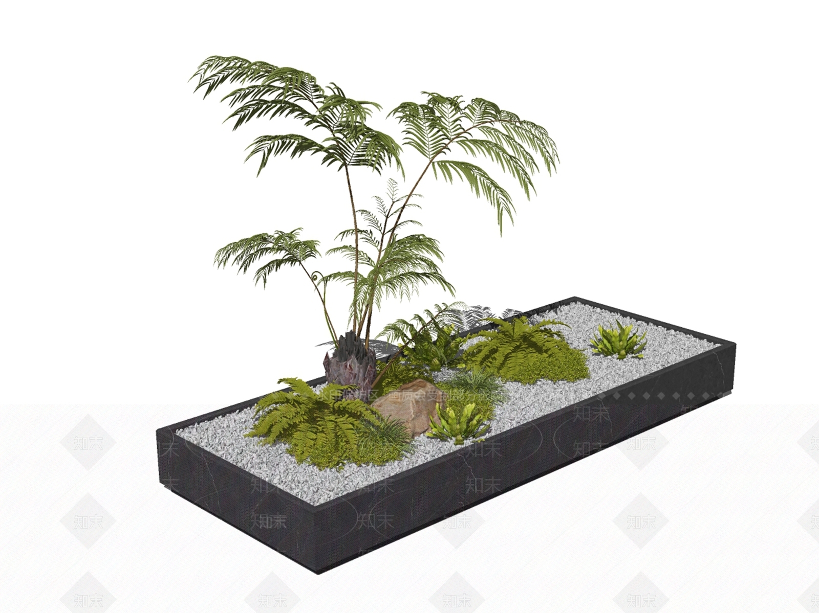 现代蕨类植物SU模型下载【ID:1207511284】