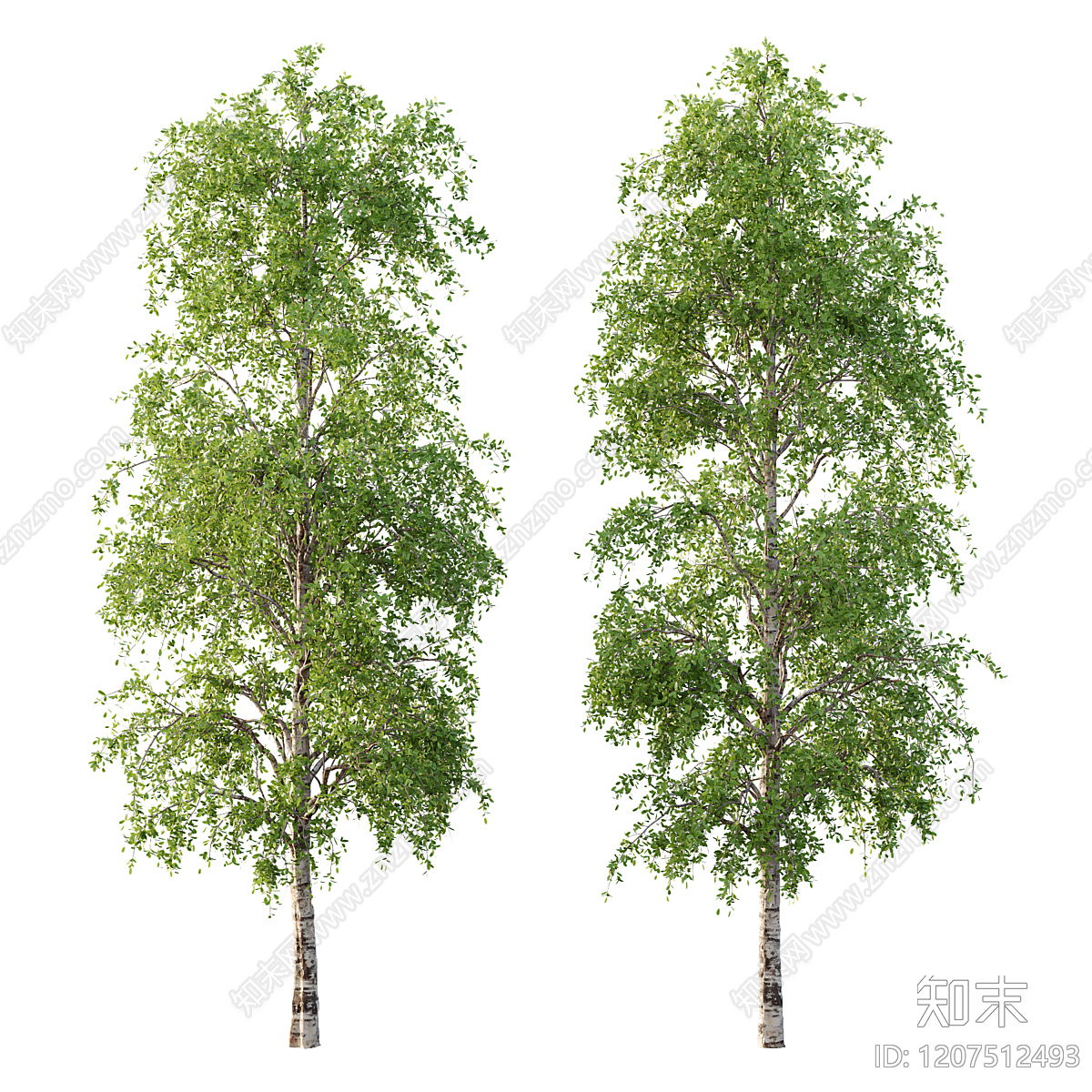 景观树3D模型下载【ID:1207512493】