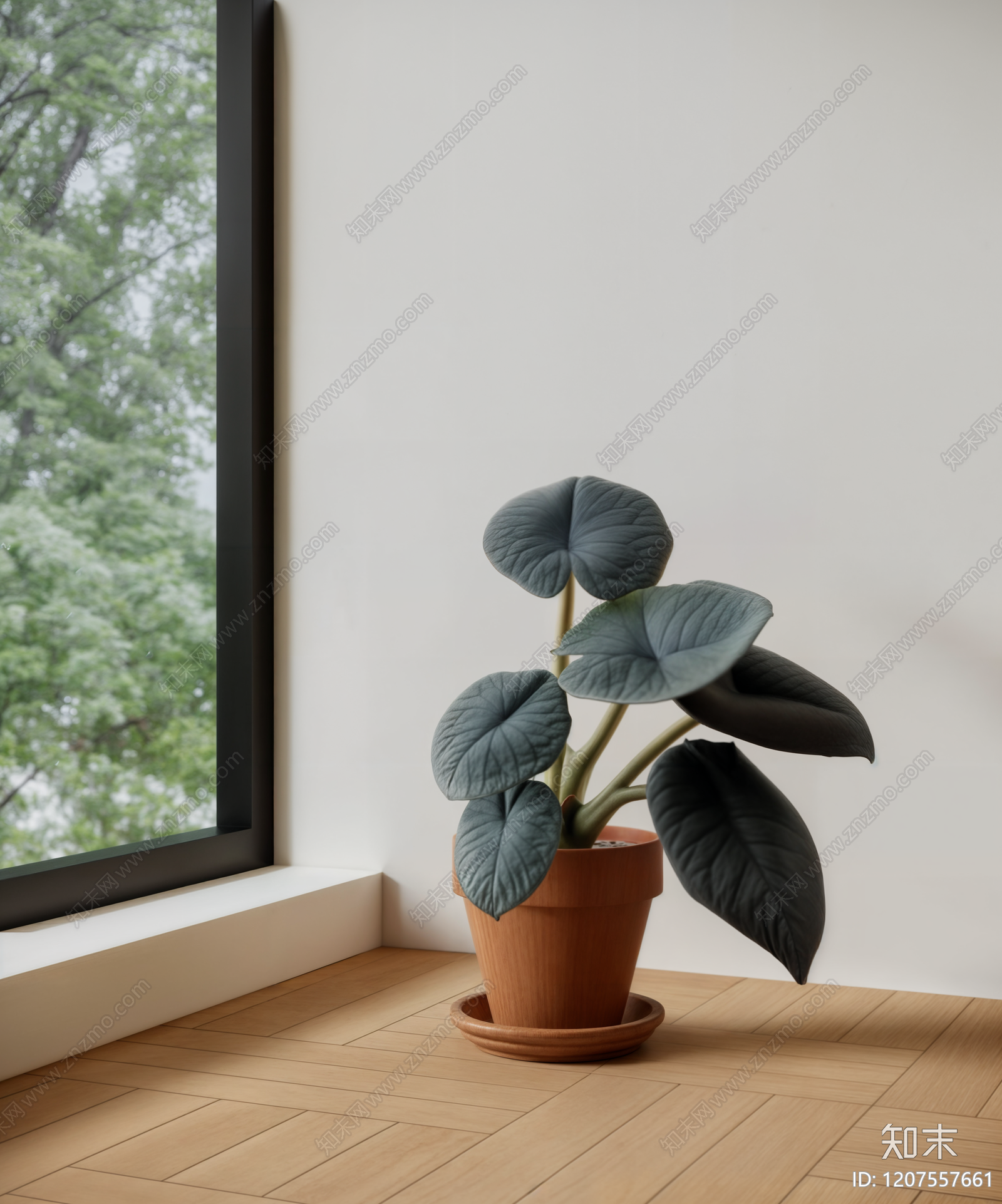 盆栽SU模型下载【ID:1207557661】