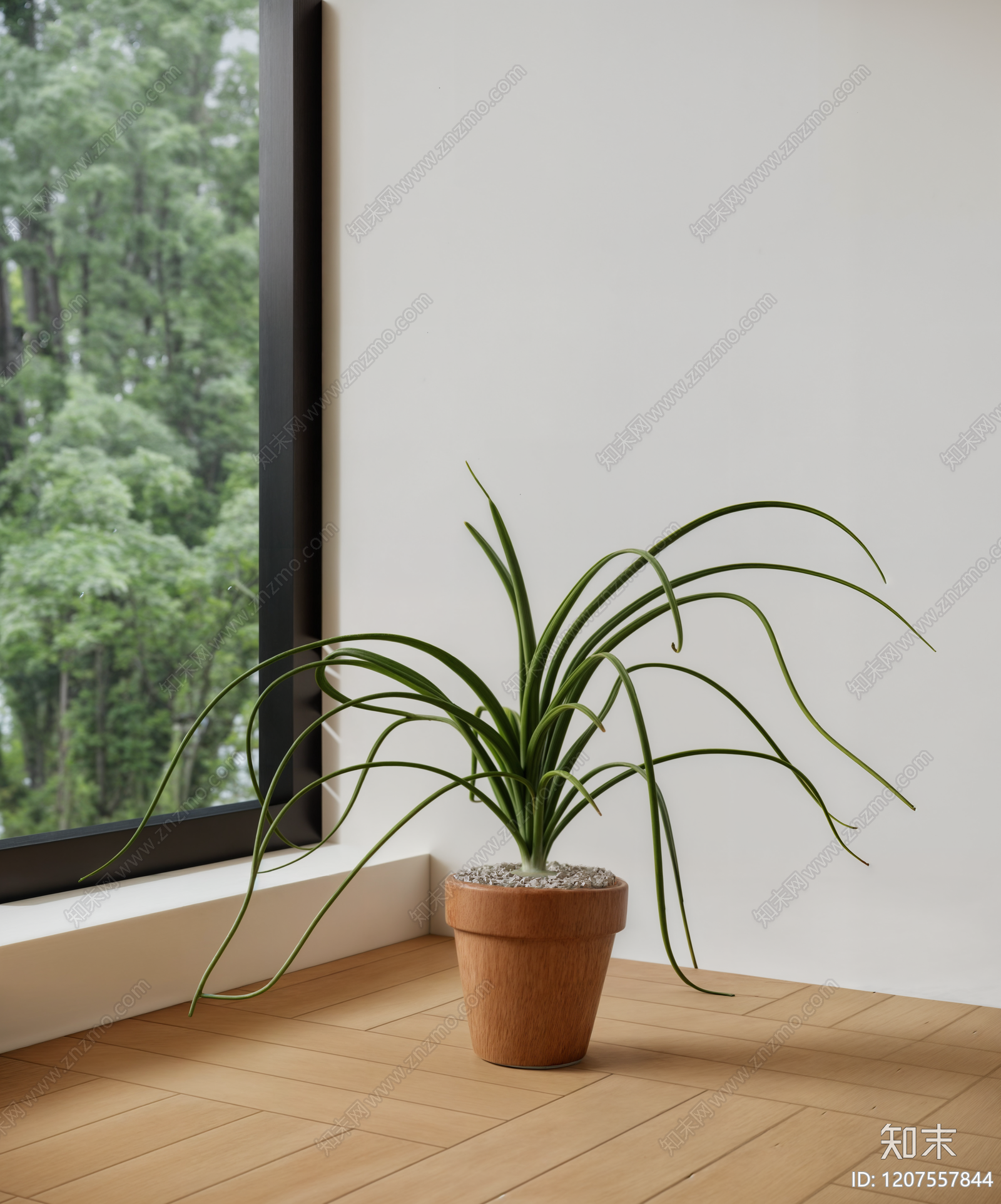 盆栽SU模型下载【ID:1207557844】
