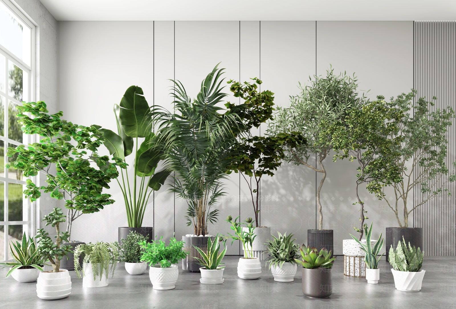 绿植盆栽3D模型下载【ID:1207690611】