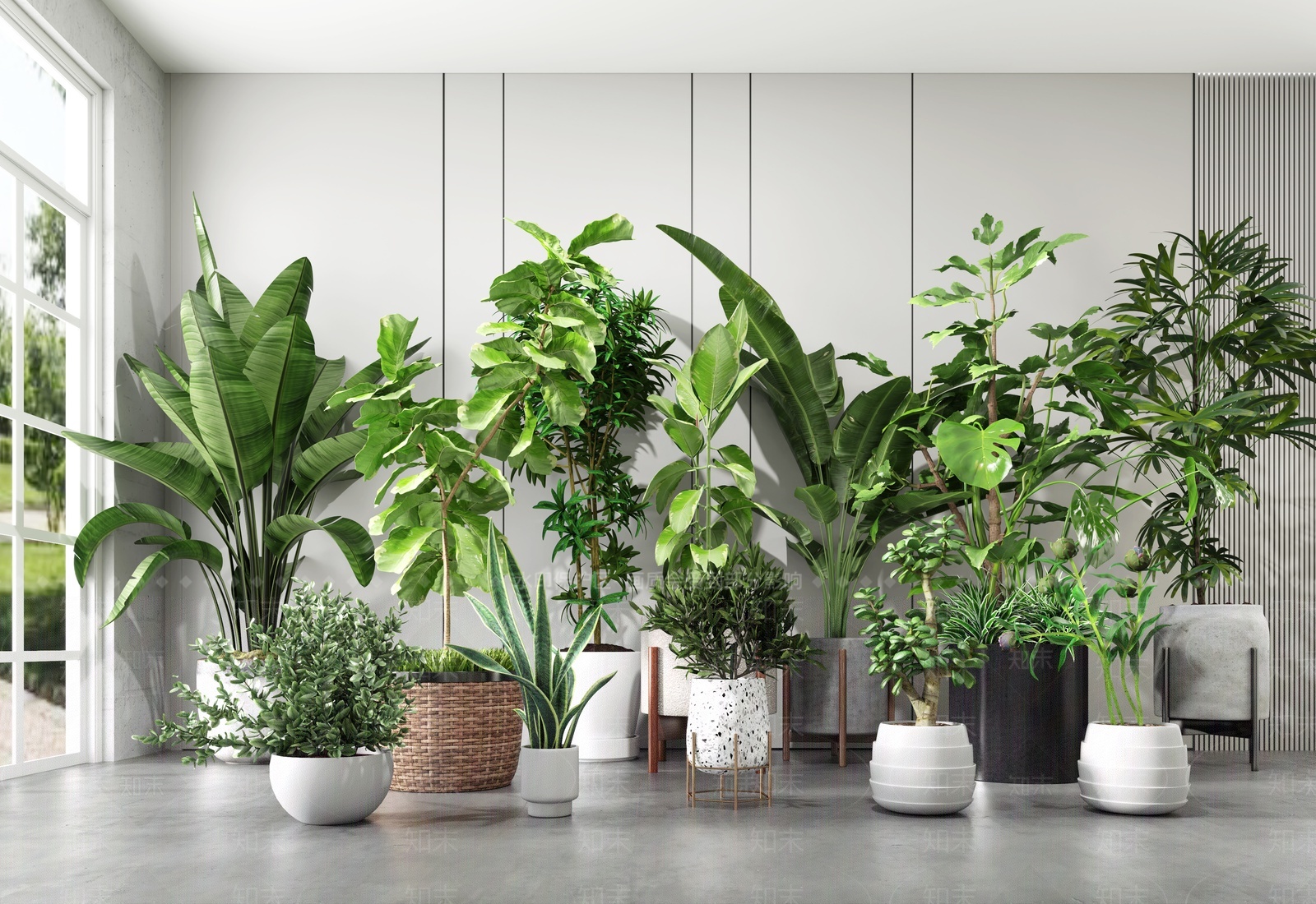 绿植盆栽3D模型下载【ID:1207690631】