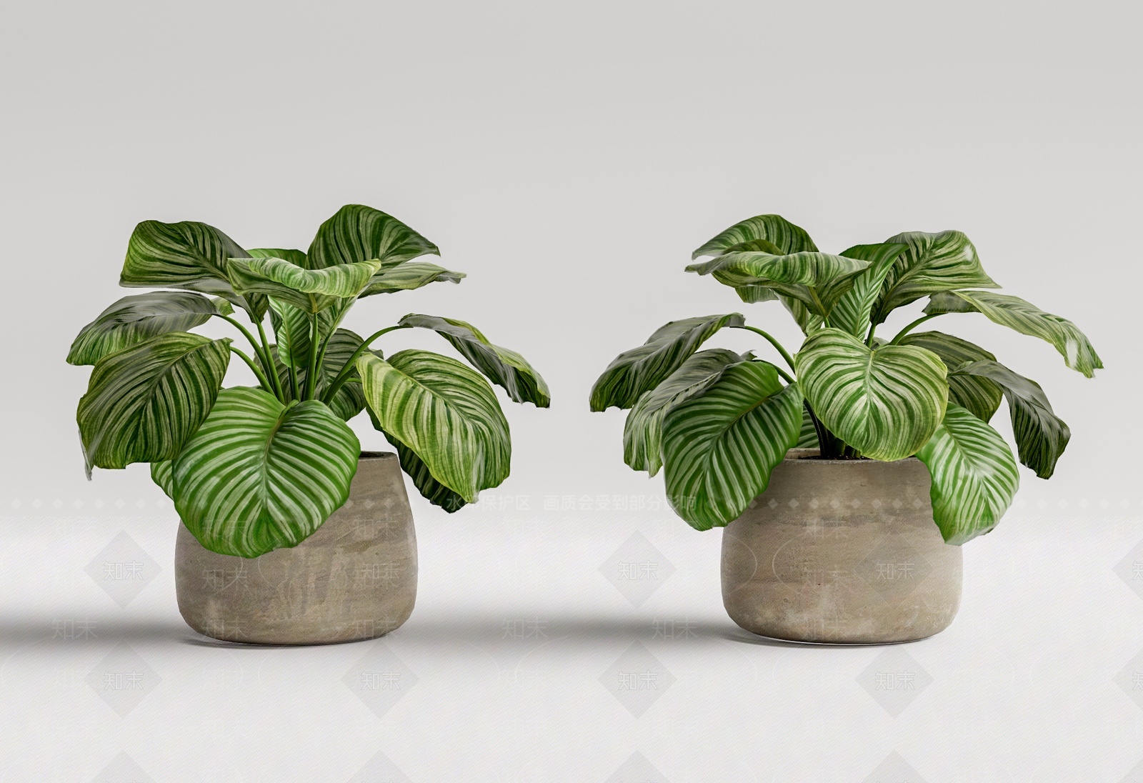 现代植物盆栽SU模型下载【ID:1207690644】