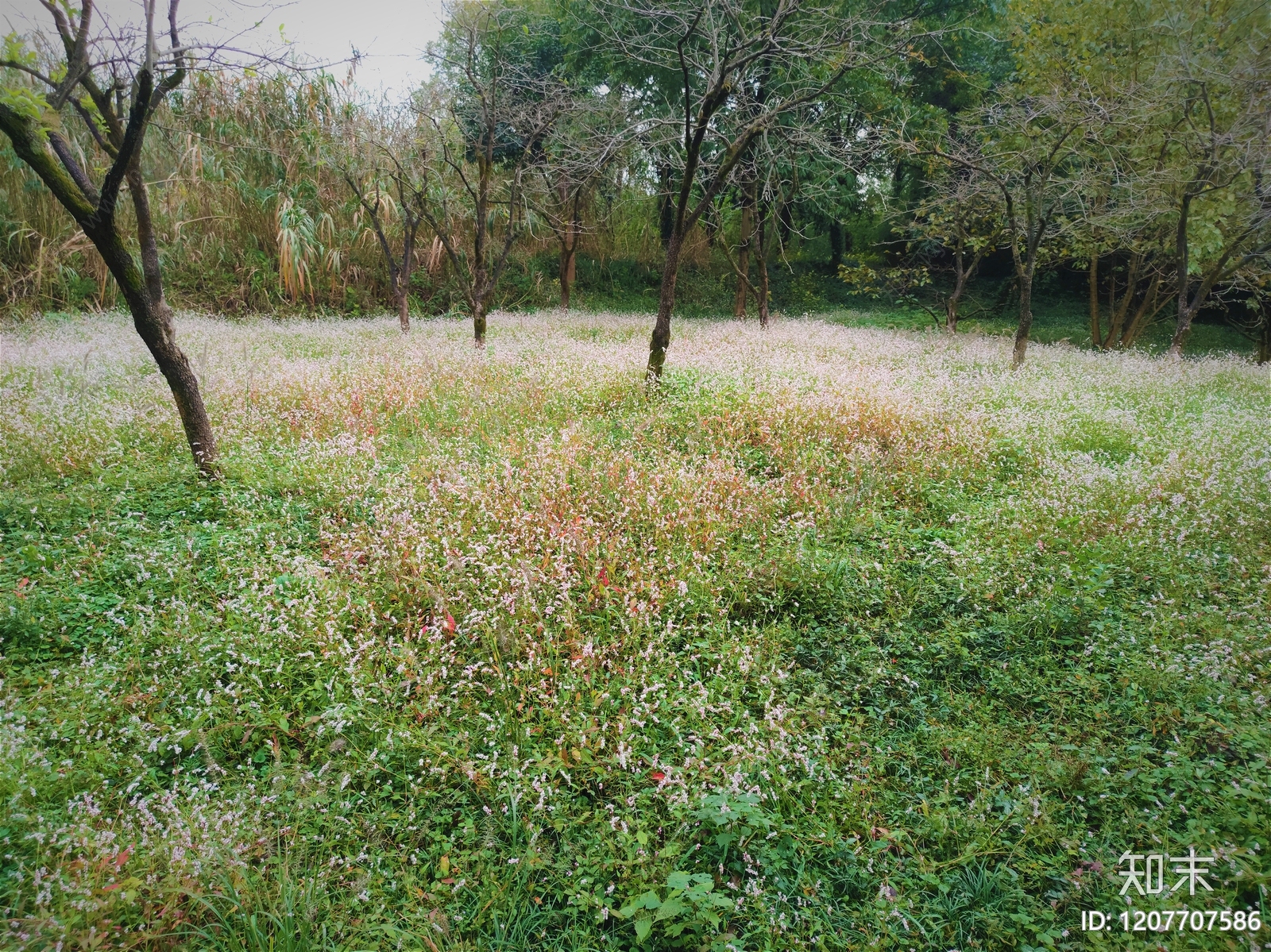 现代其它外景贴图下载【ID:1207707586】