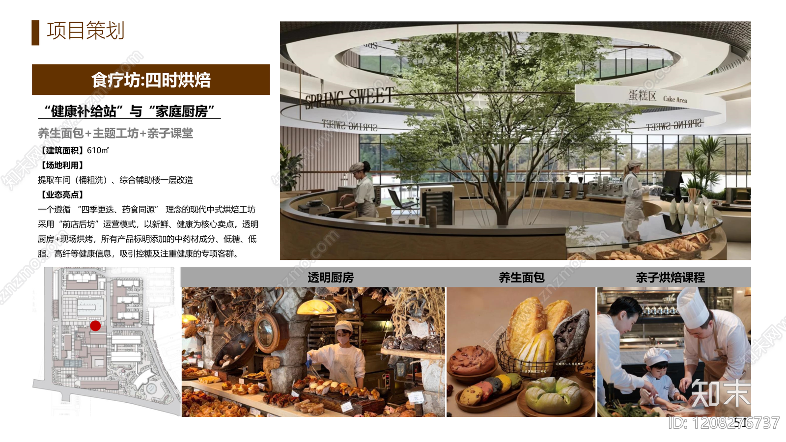 现代康养文旅下载【ID:1208276737】