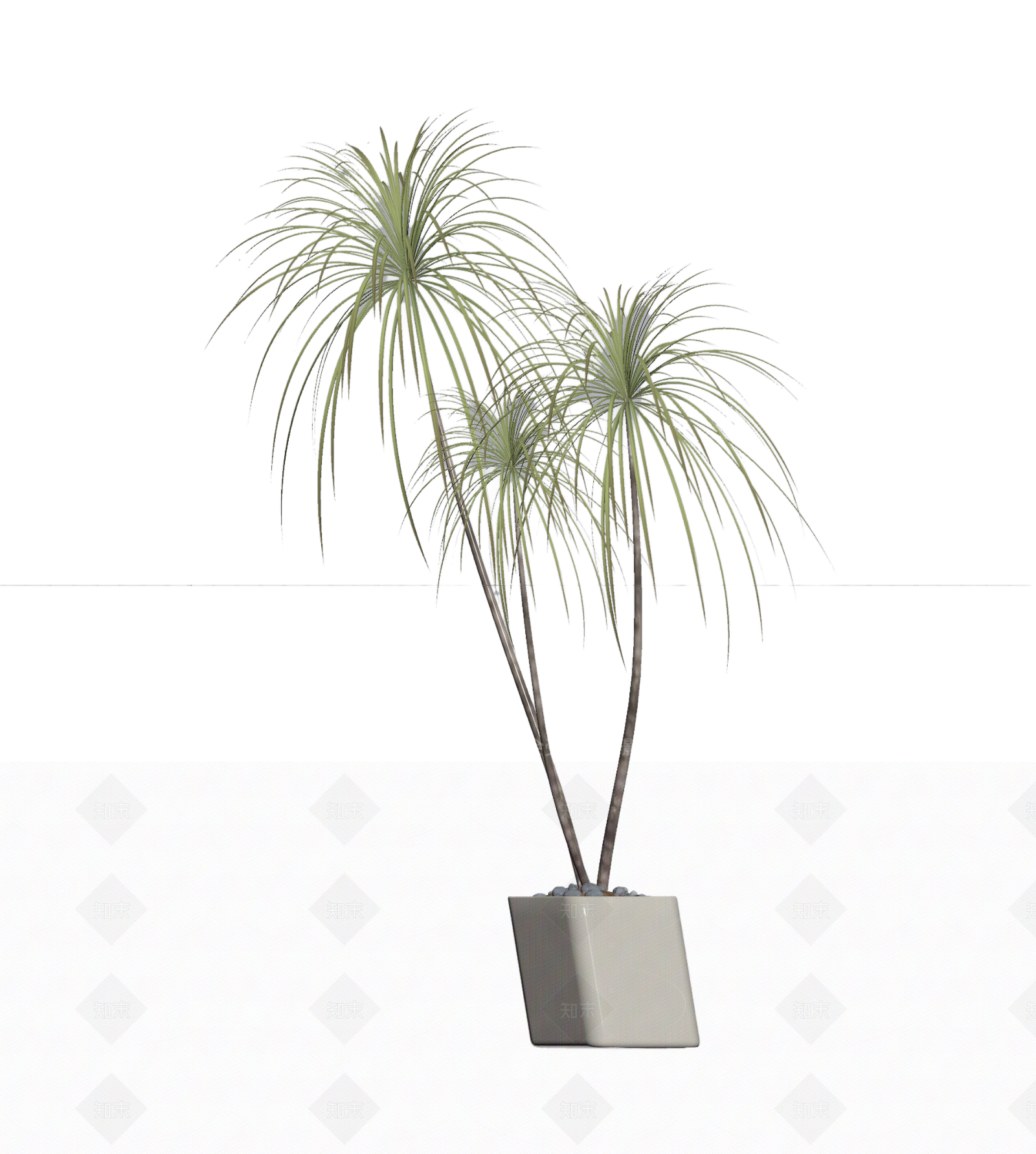 带盆双株植物模型3D模型下载【ID:1206184420】