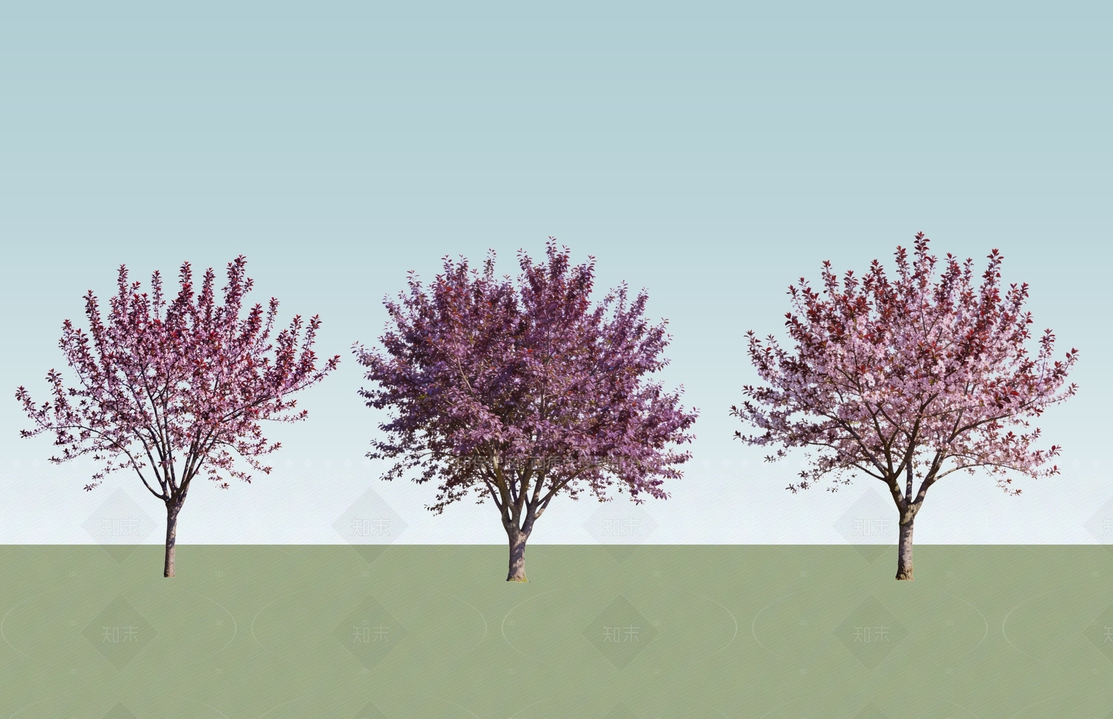 乔木SU模型下载【ID:1208308676】