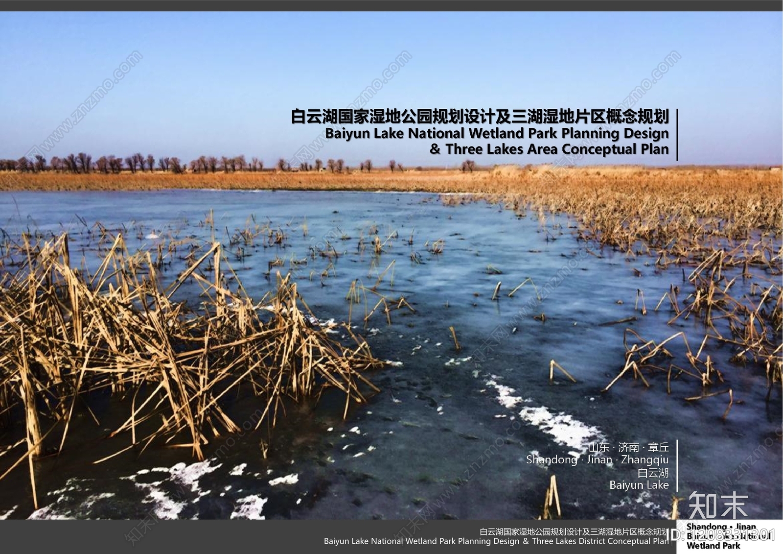 现代新中式景观规划下载【ID:1208331301】