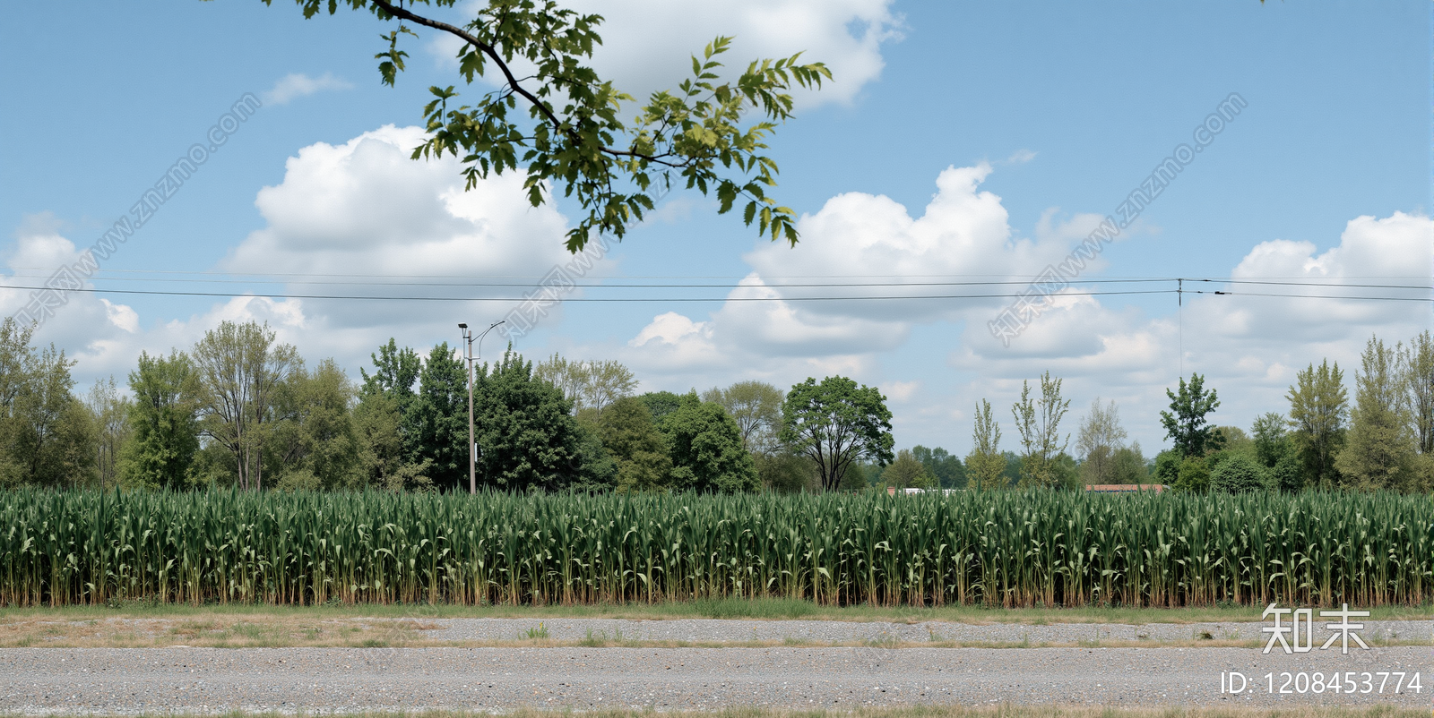 复古极简乡村贴图下载【ID:1208453774】