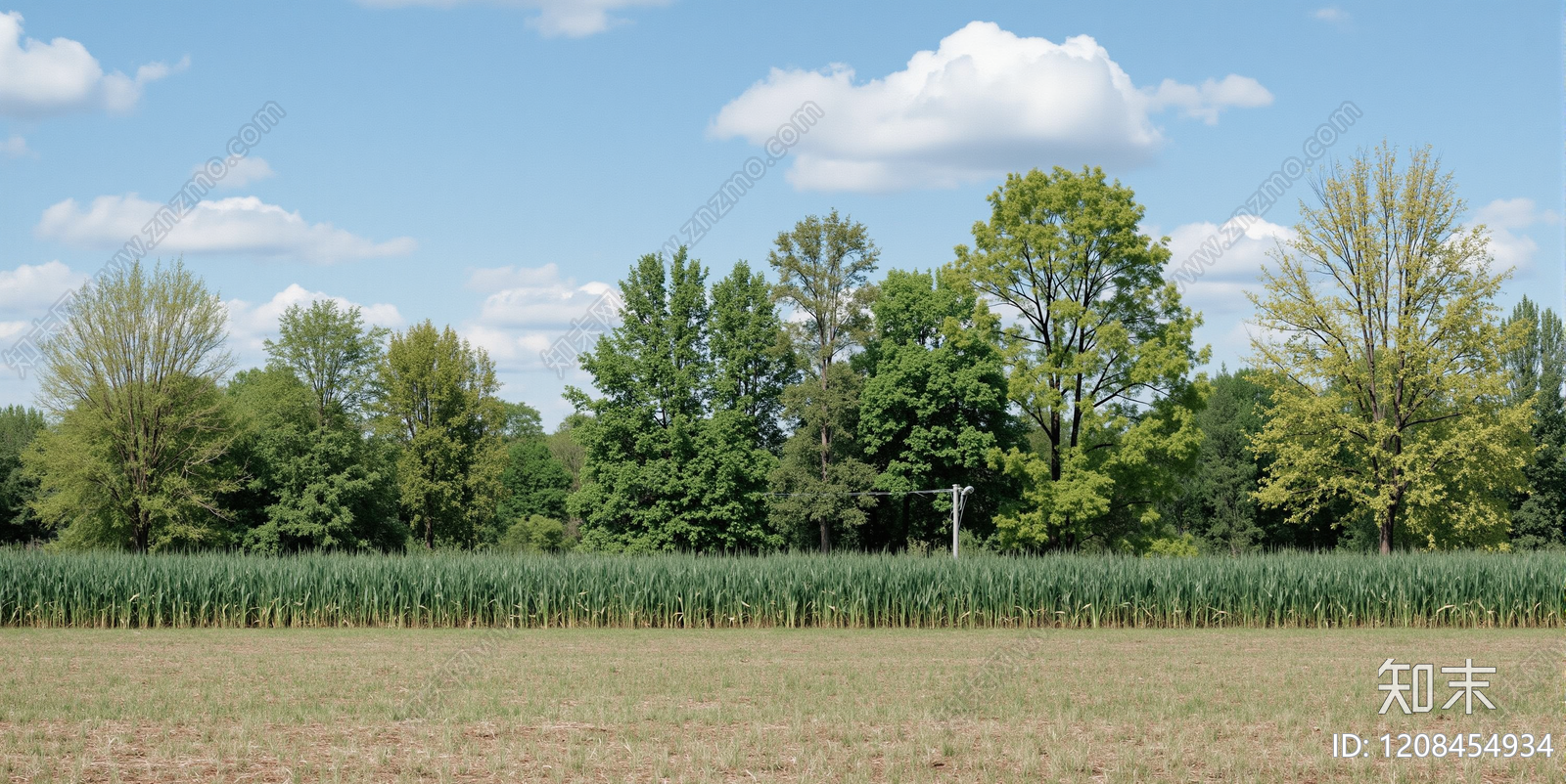 极简意式乡村贴图下载【ID:1208454934】