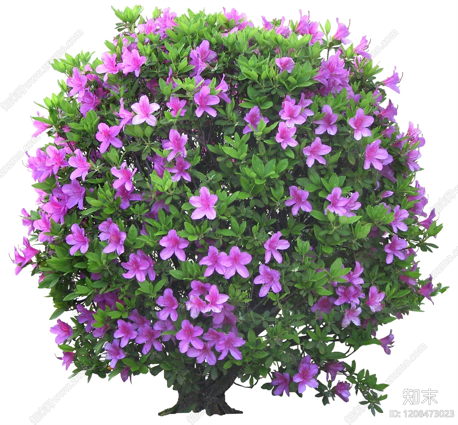 现代其它HDR贴图下载【ID:1208473023】