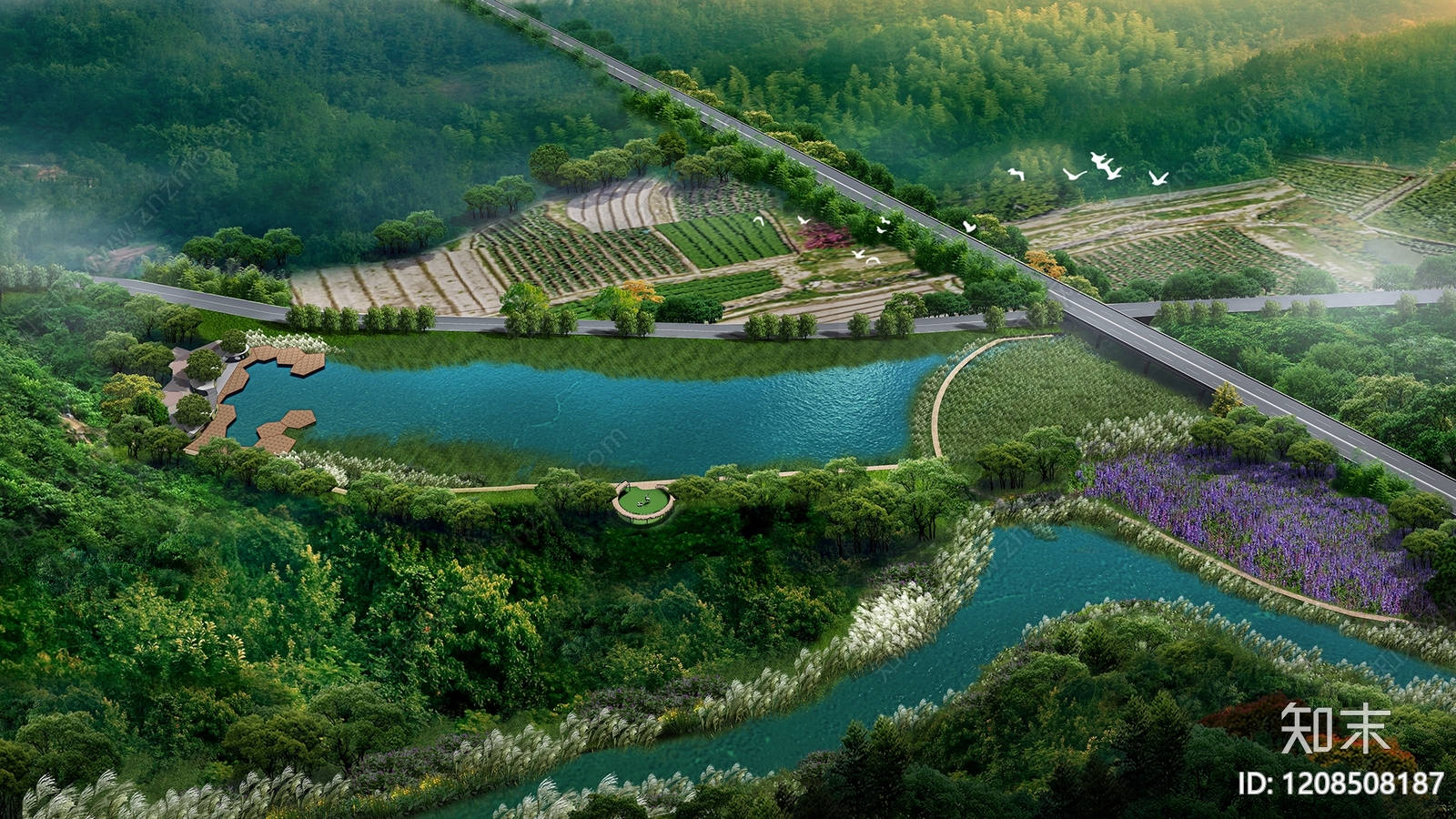 水生植物下载【ID:1208508187】