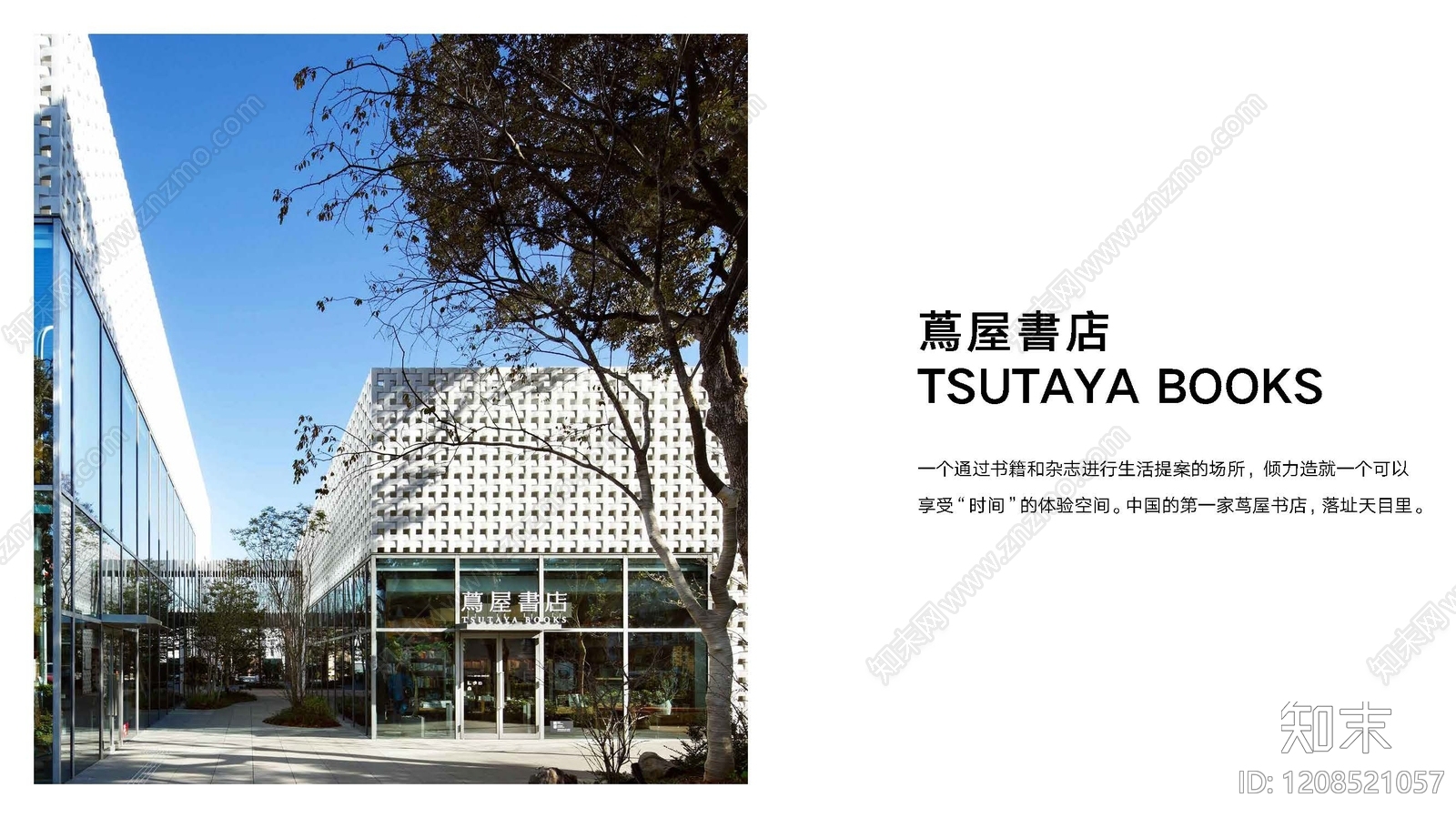 现代商业策划下载【ID:1208521057】