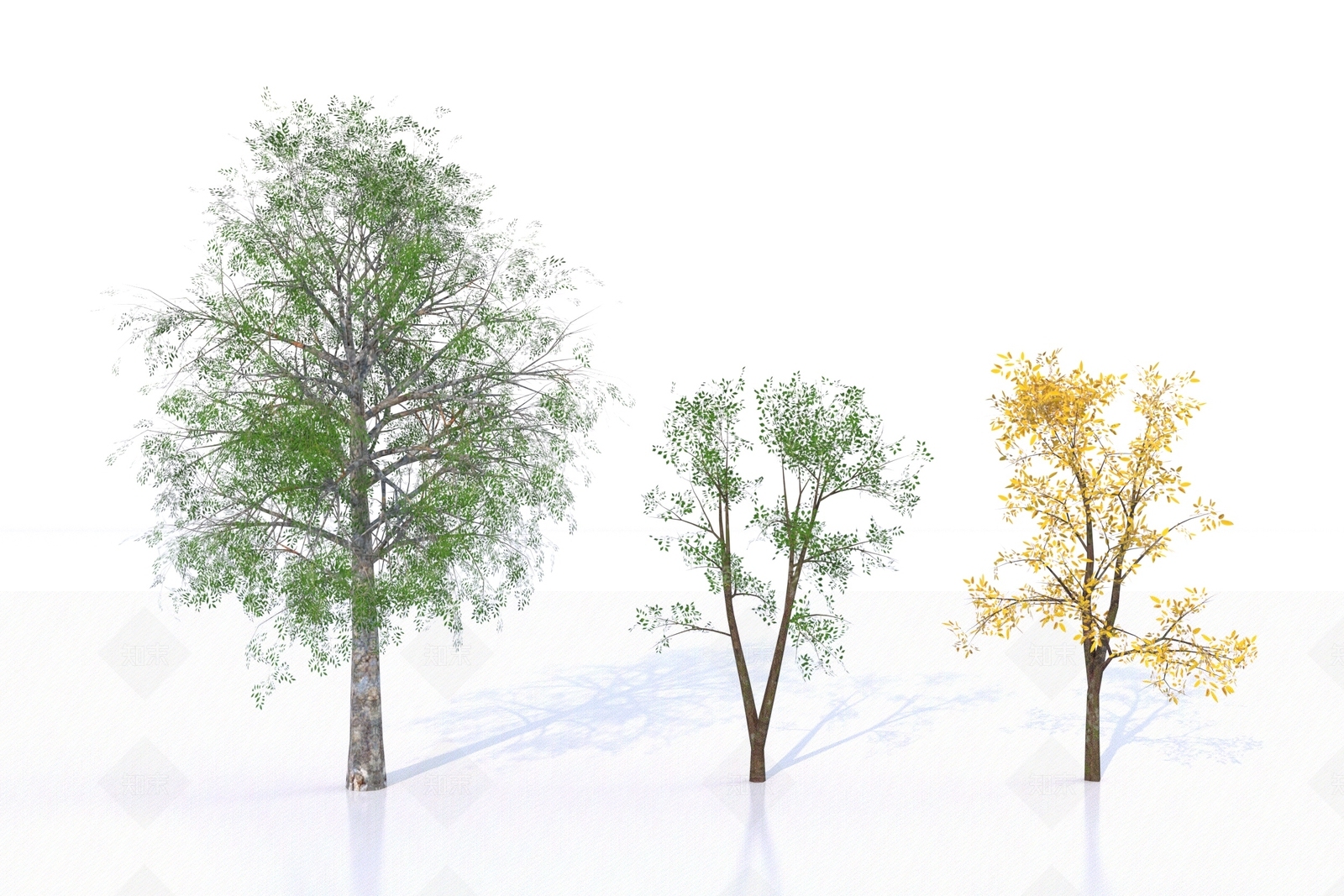 极简主义景观树3D模型下载【ID:1208536046】