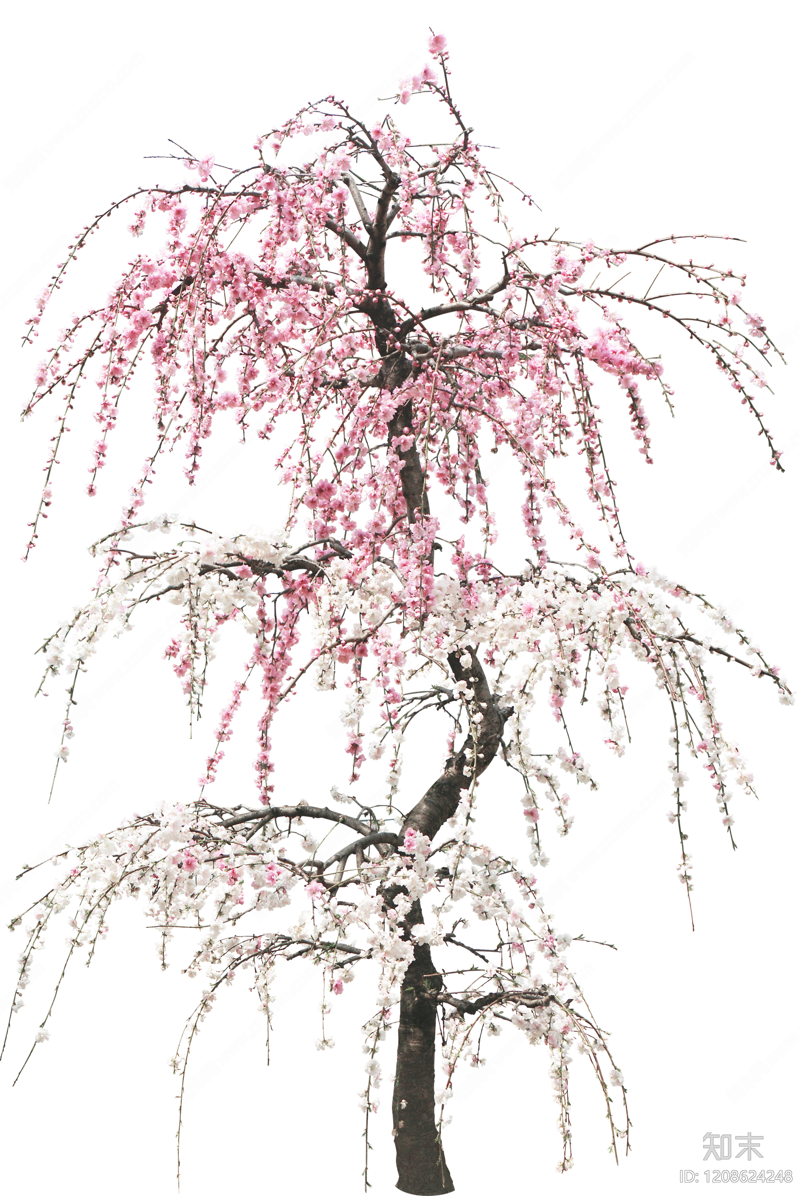 现代其它HDR贴图下载【ID:1208624248】