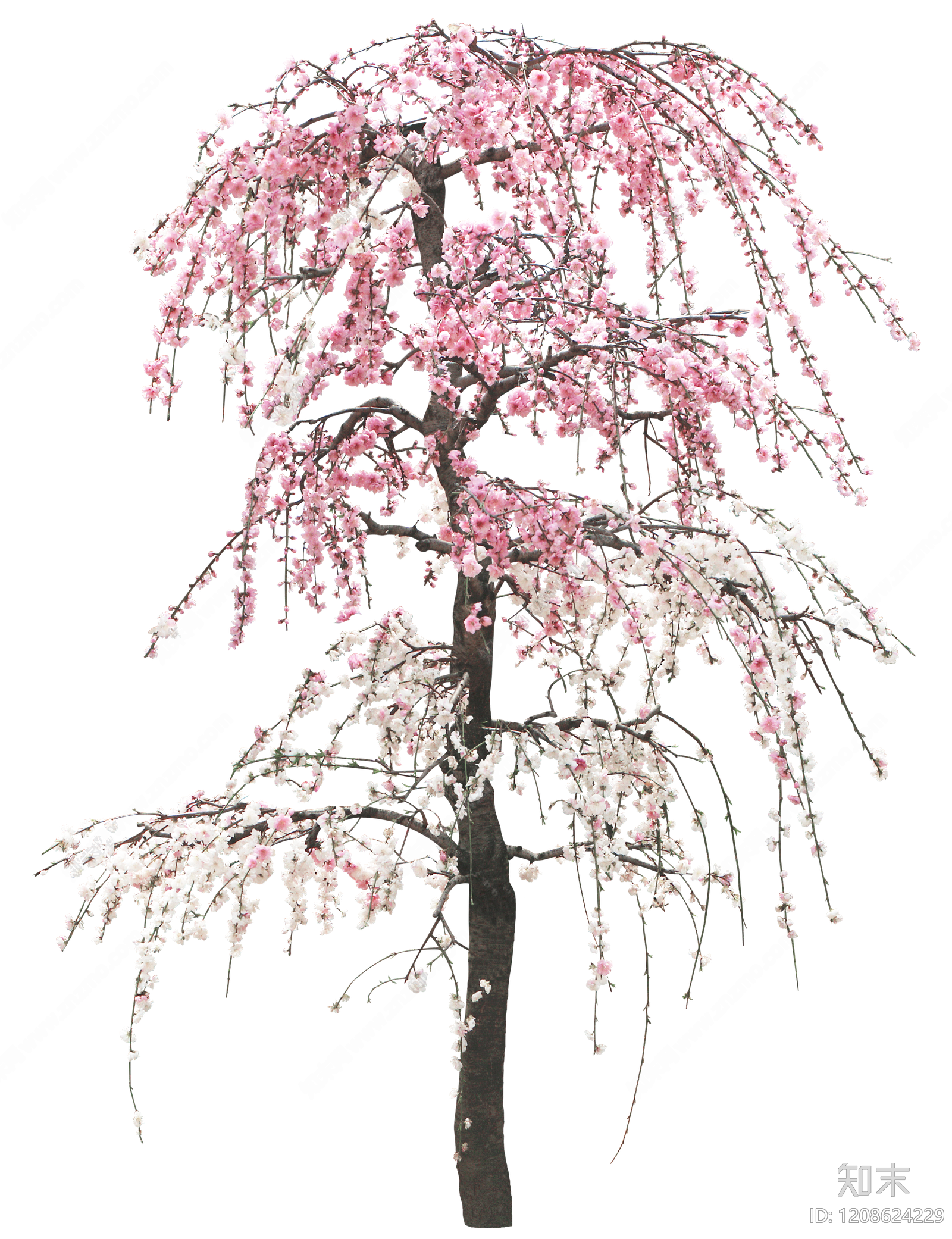 现代其它HDR贴图下载【ID:1208624229】