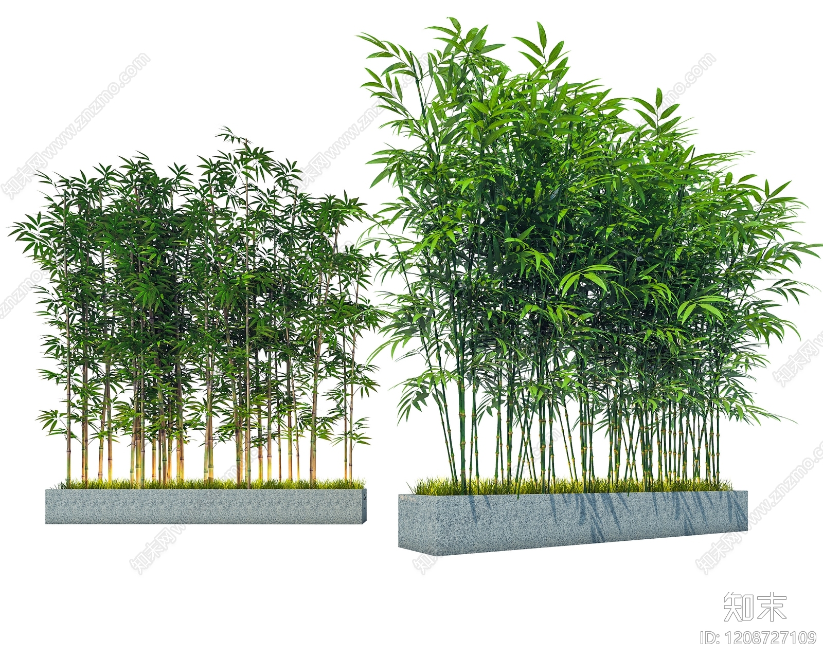 竹子SU模型下载【ID:1208727109】