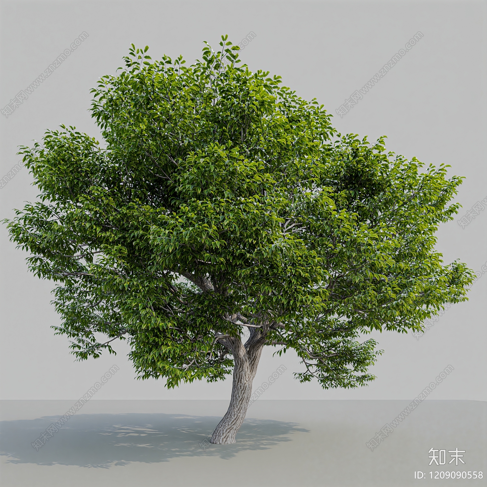 现代主义景观景观树3D模型下载【ID:1209090558】