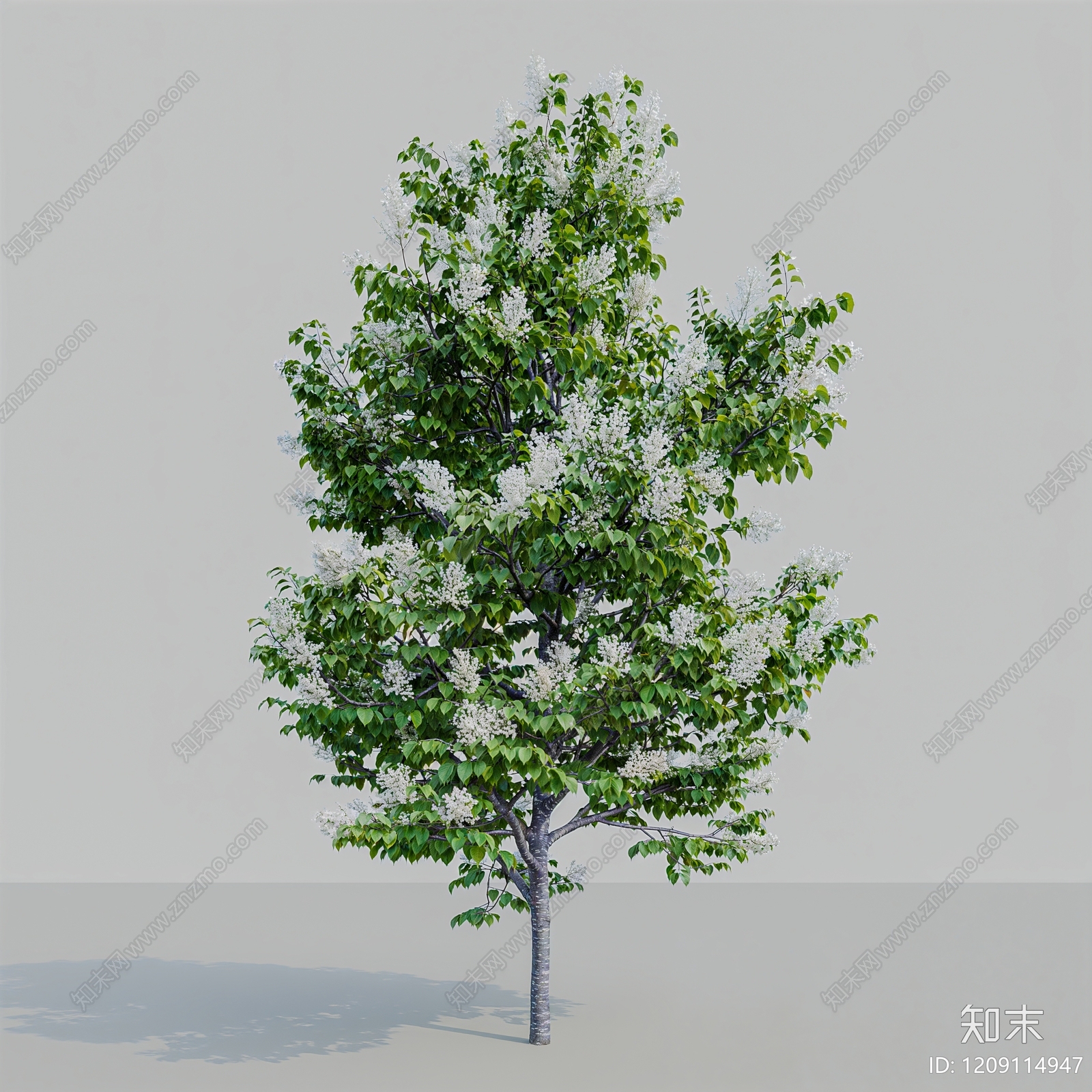 现代景观树乔木3D模型下载【ID:1209114947】