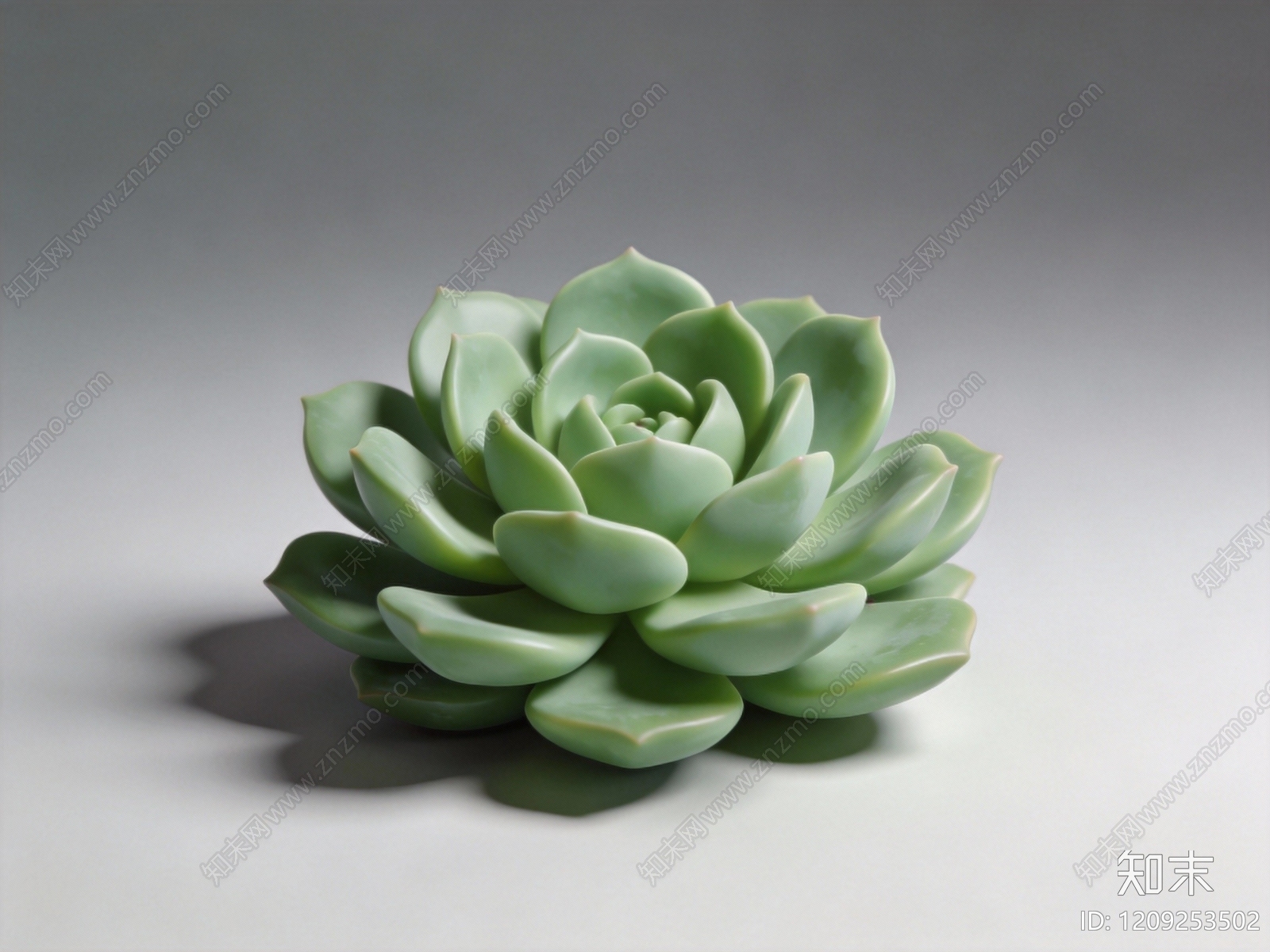 多肉植物SU模型下载【ID:1209253502】