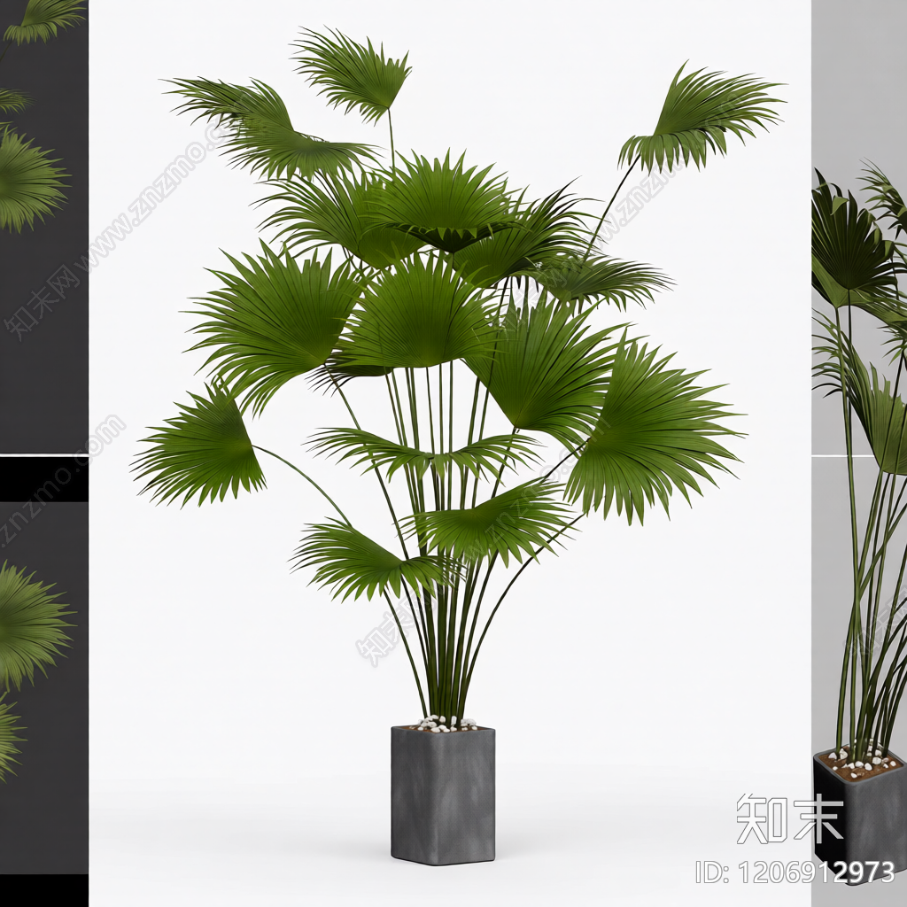 盆栽棕榈植物装饰3D模型下载【ID:1206912973】
