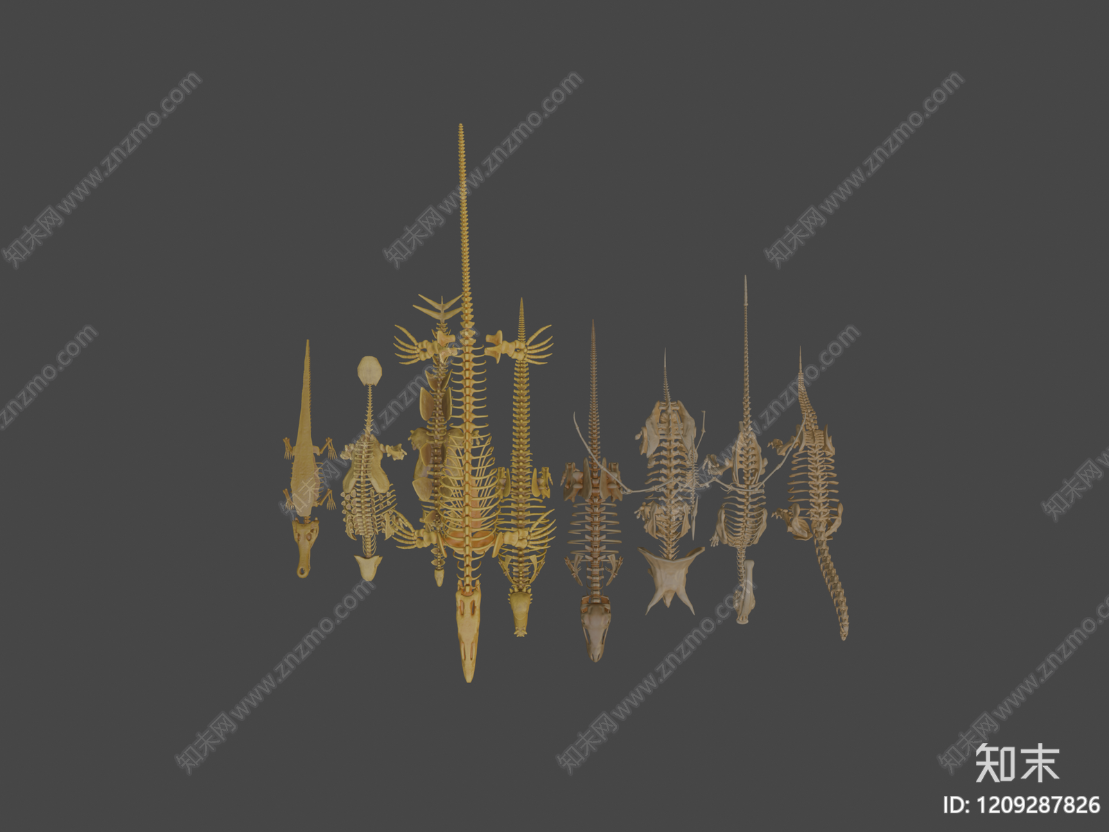 骨骼艺术风摆件组合3D模型下载【ID:1209287826】