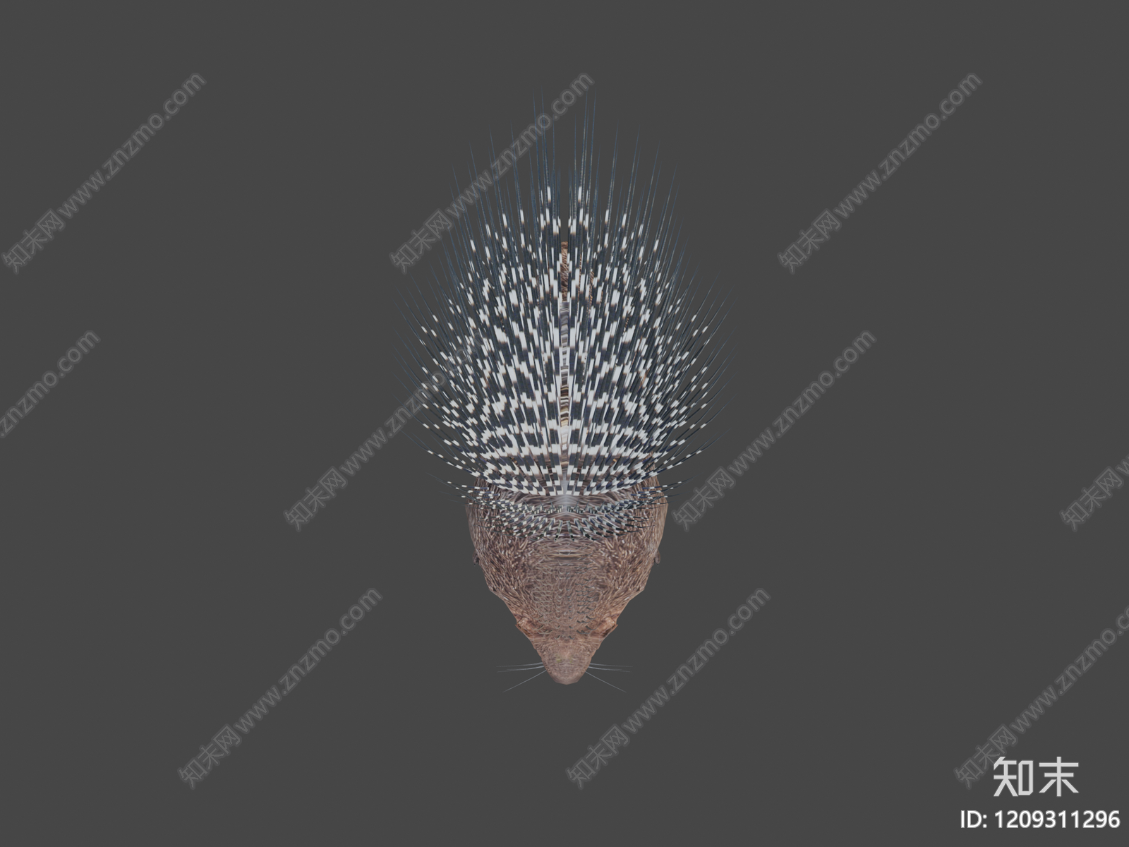 写实主义其他动物3D模型下载【ID:1209311296】